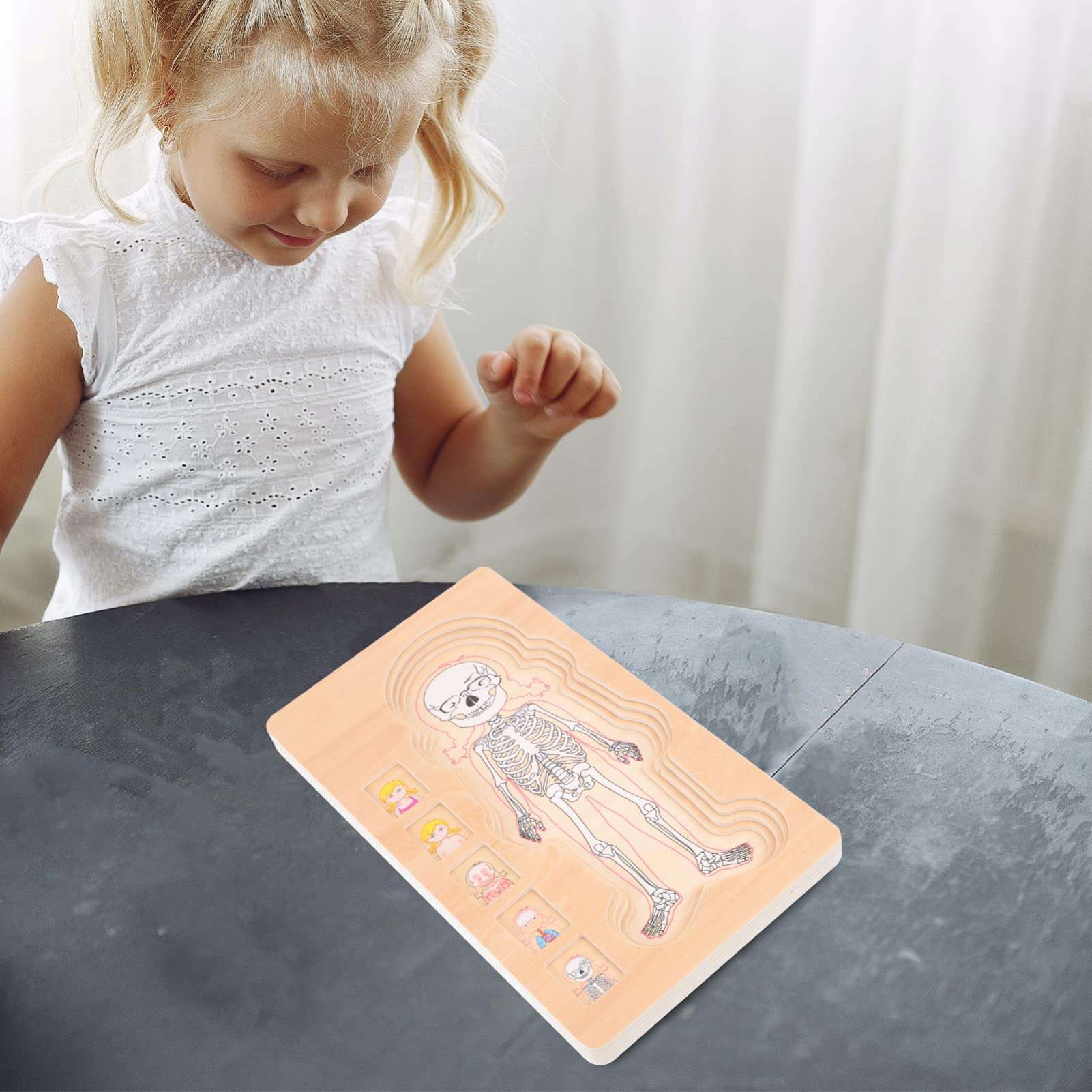 TOYANDONA 1pc Multilayer Puzzle Body Structure Toy Body Parts Puzzle Anatomy Puzzle for Kids My Body Puzzle Kids Shape Sorter Puzzle Toy Preschool Wooden Three-Dimensional 4