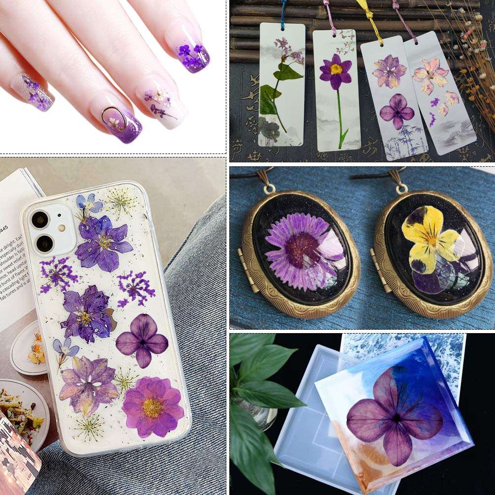 Natural Dried Flowers Mixed Multi-Color Pressed Flower Mini Rose Hydrangea Daisy for Art Craft DIY Resin Nail Art Floral Decors (Purple) 6