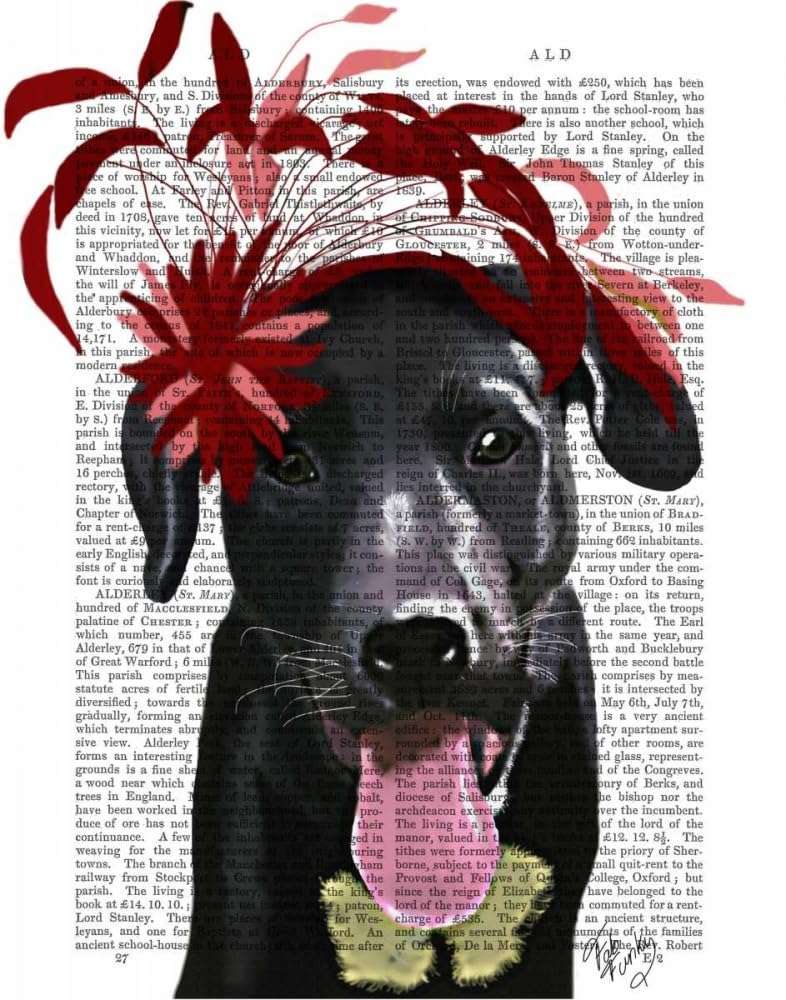Black Labrador With Red Fascinator Poster Print - Funky Fab (24 x 36) 1
