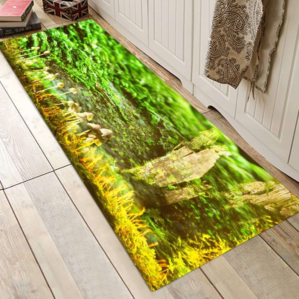 Indoor Door Mat, Super Absorbent Soft Non-Slip Non Slip Mat for Drying for Bathroom Bedroom, Kitchen(80 * 50cm) 3