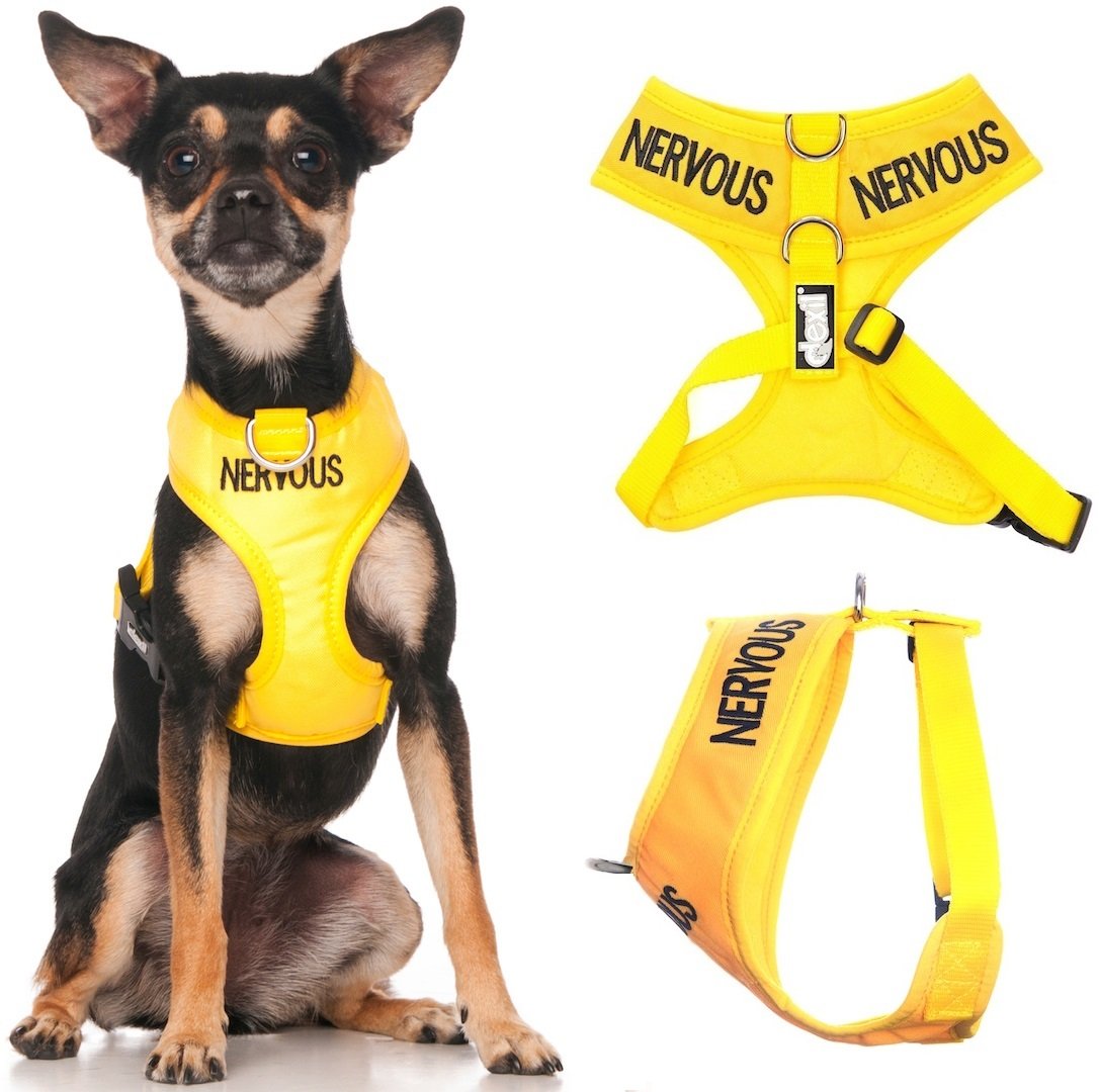 Dexil Limited Nervous (Give Me Space) Yellow Color Coded Non-Pull Front and Back D Ring Padded and Waterproof Vest Dog Harness Prevents Accidents by Warning Others of Your Dog in Advance (XS)