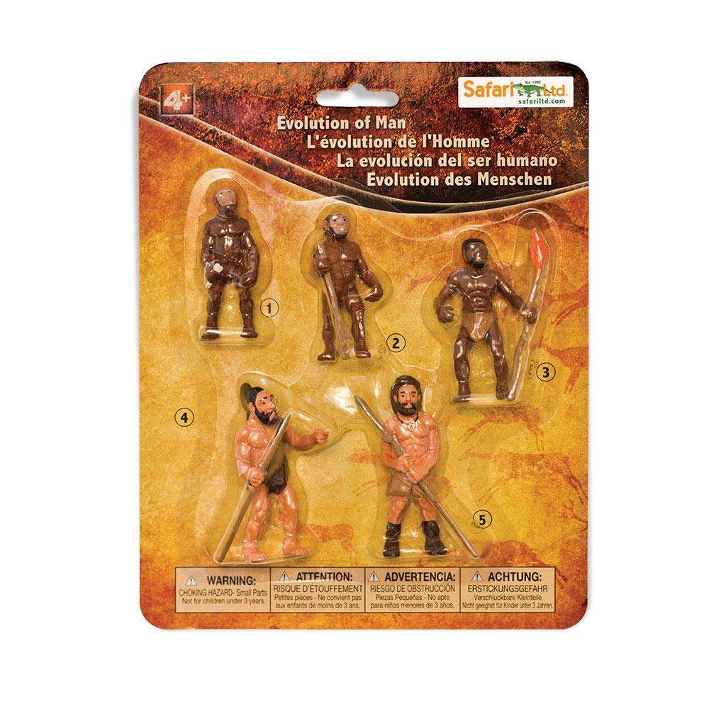Safari Ltd. Evolution of Man Set - Detailed Educational Human Evolution Toy Figurines - Realistic Human Development Stages Collection for Boys, Girls & Kids Age 4+