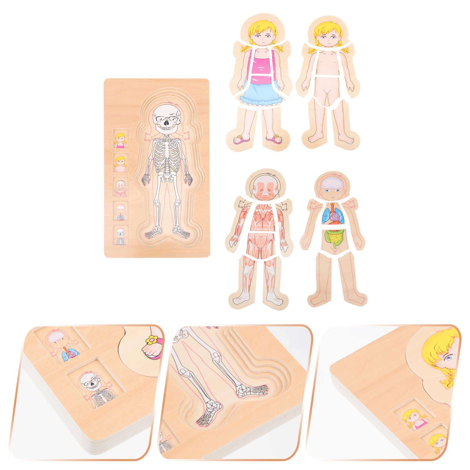 TOYANDONA 1pc Multilayer Puzzle Body Structure Toy Body Parts Puzzle Anatomy Puzzle for Kids My Body Puzzle Kids Shape Sorter Puzzle Toy Preschool Wooden Three-Dimensional 3