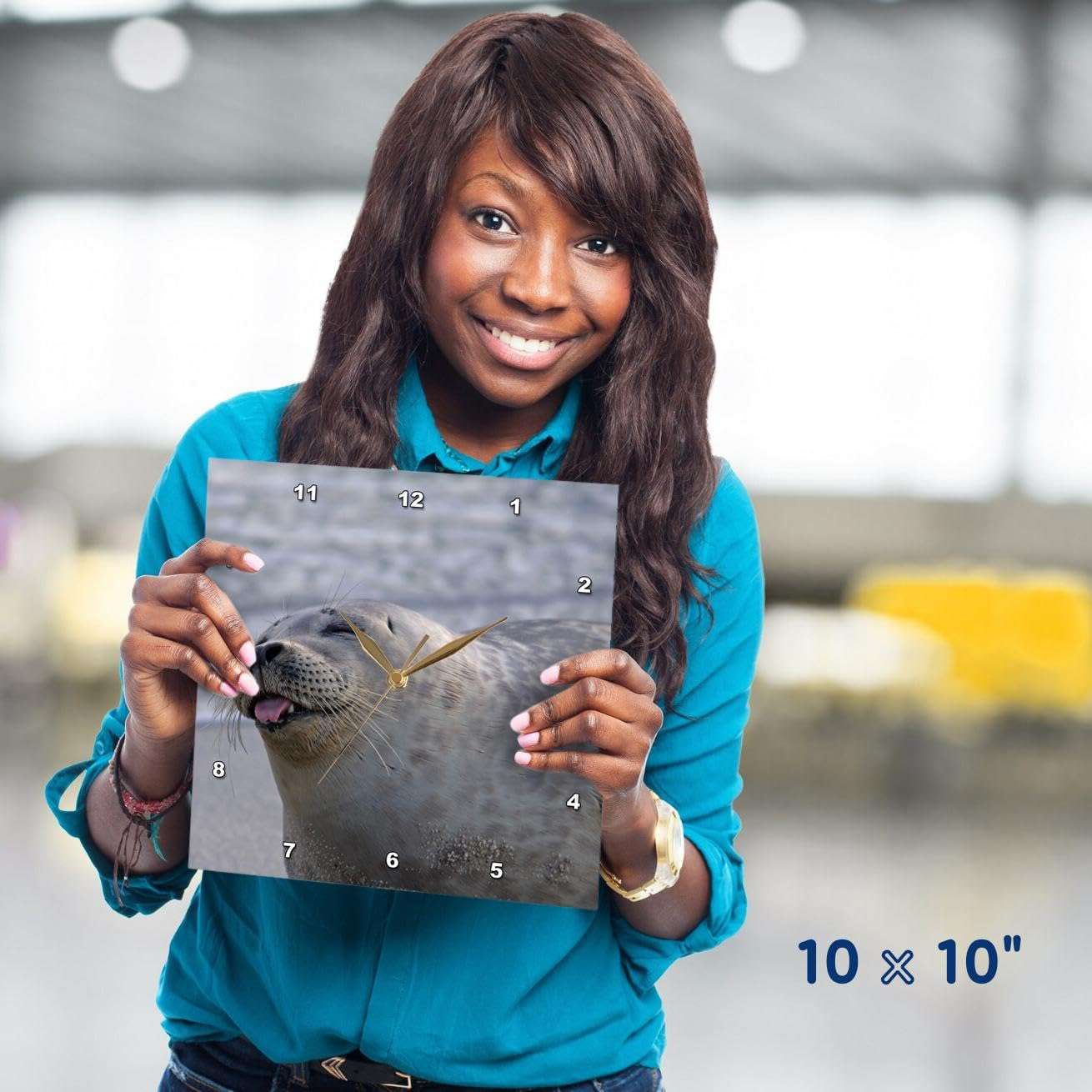 3dRose DPP_88183_1 USA, California, San Diego, Harbor Seal - US05 BJA0168 - Jaynes Gallery - Wall Clock, 10 by 10-Inch 5