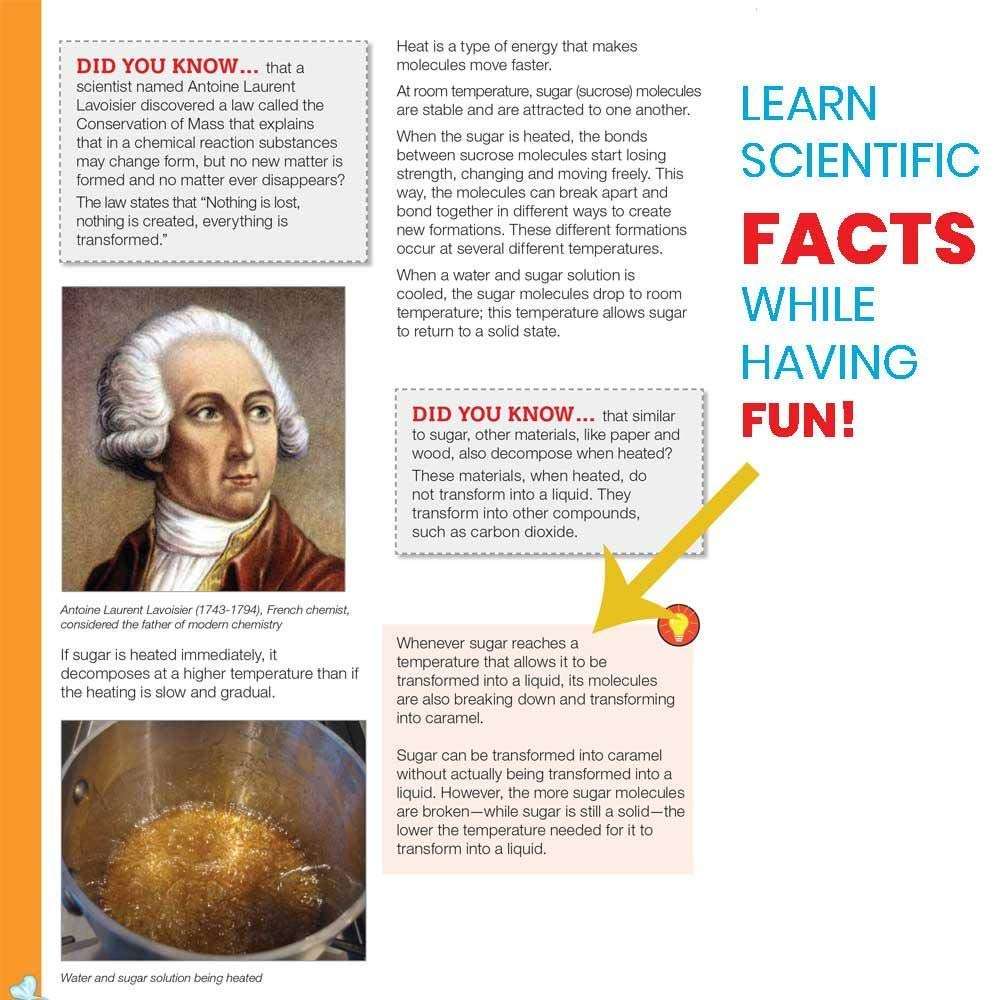 hand2mind Candy Making Kit Science Kit for Kids 8-12, Candy for Kids Science Kit with Fact-Filled Guide, Rock Candy Sticks, Gummy Worms Candy Lab, STEM Toys, 16 Science Experiments 4