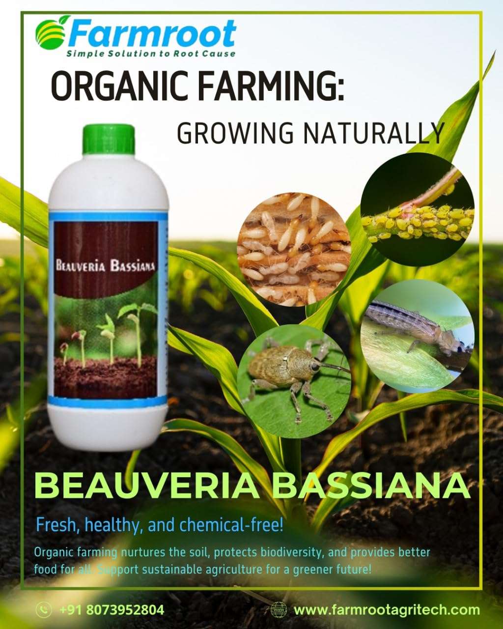 FARMROOT BEAUVARIA BASSIANA (PACK OF 1 * 10 Ltr) 3