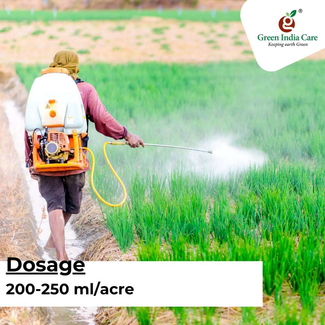 Green India Care VINASHAK (1L) 5