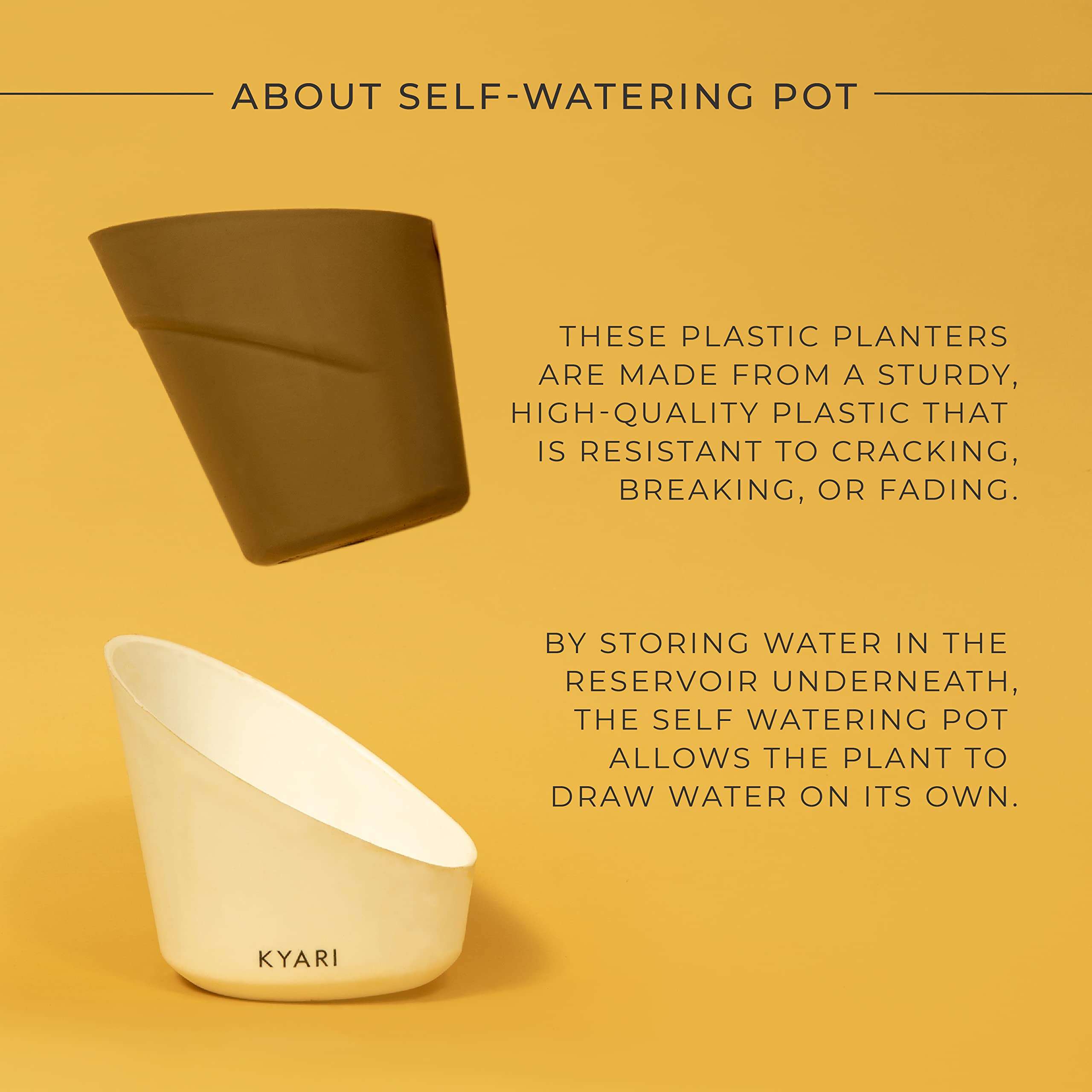 KYARI Golden Money Indoor Plants for Living Room | Live Plants | Plants with Dusky Brown Self Watering Pot for Home | Air purifier plants | Plants for Home Decor | Plants for Garden & bedroom 5