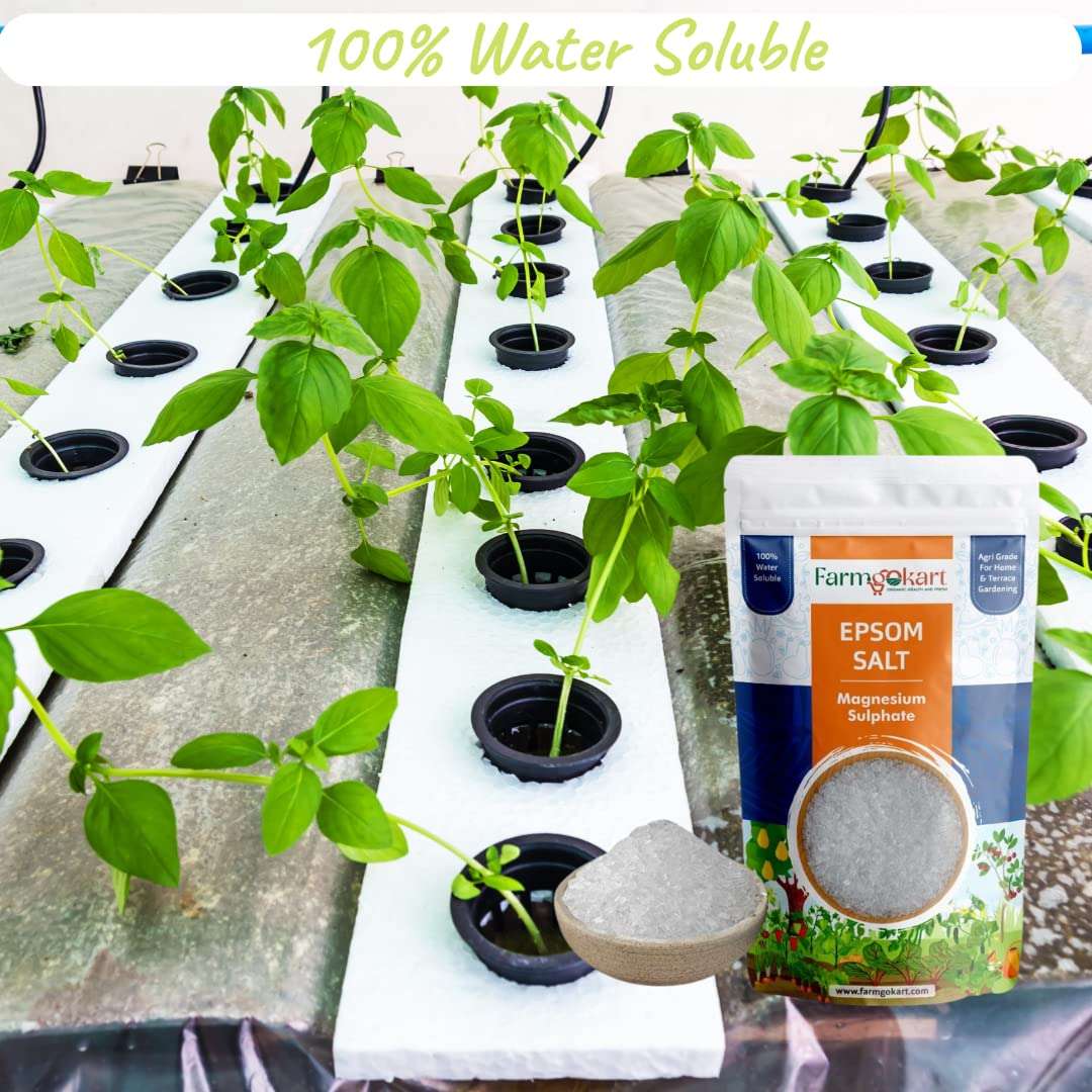 Farmgokart | Agri Grade | Epsom Salt Magnesium Sulphate | for Plant Growth and Plant Nutrient | 100% Water Soluble | (450 GMS) 4