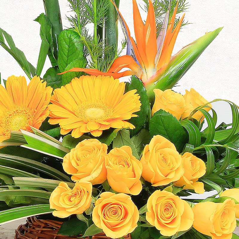 FlowerAura Decorative 10 Yellow Gerberas, 10 Yellow Roses & 4 Orange Birds Of Paradise Fresh Live Flowers Bouquet With Wooden Basket Valentine's Day Special Gifts For Girlfriend, Boyfriend 3