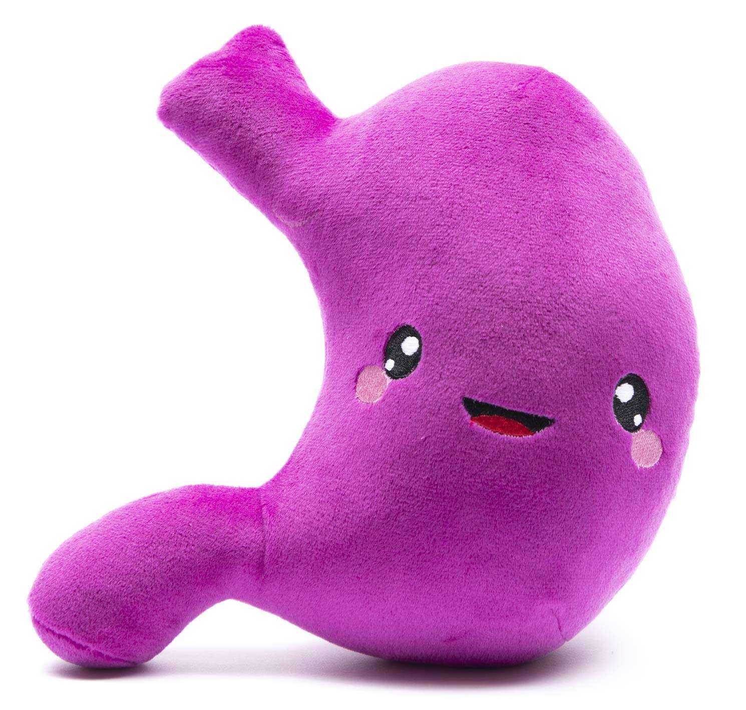 nerdbugs Stomach Plush - Gastric Bypass and Sleeve Gift, Get Well and Surgery Gift, Health Education Toy, gastroenterology Present, GI Ulcer and IBS Present 1