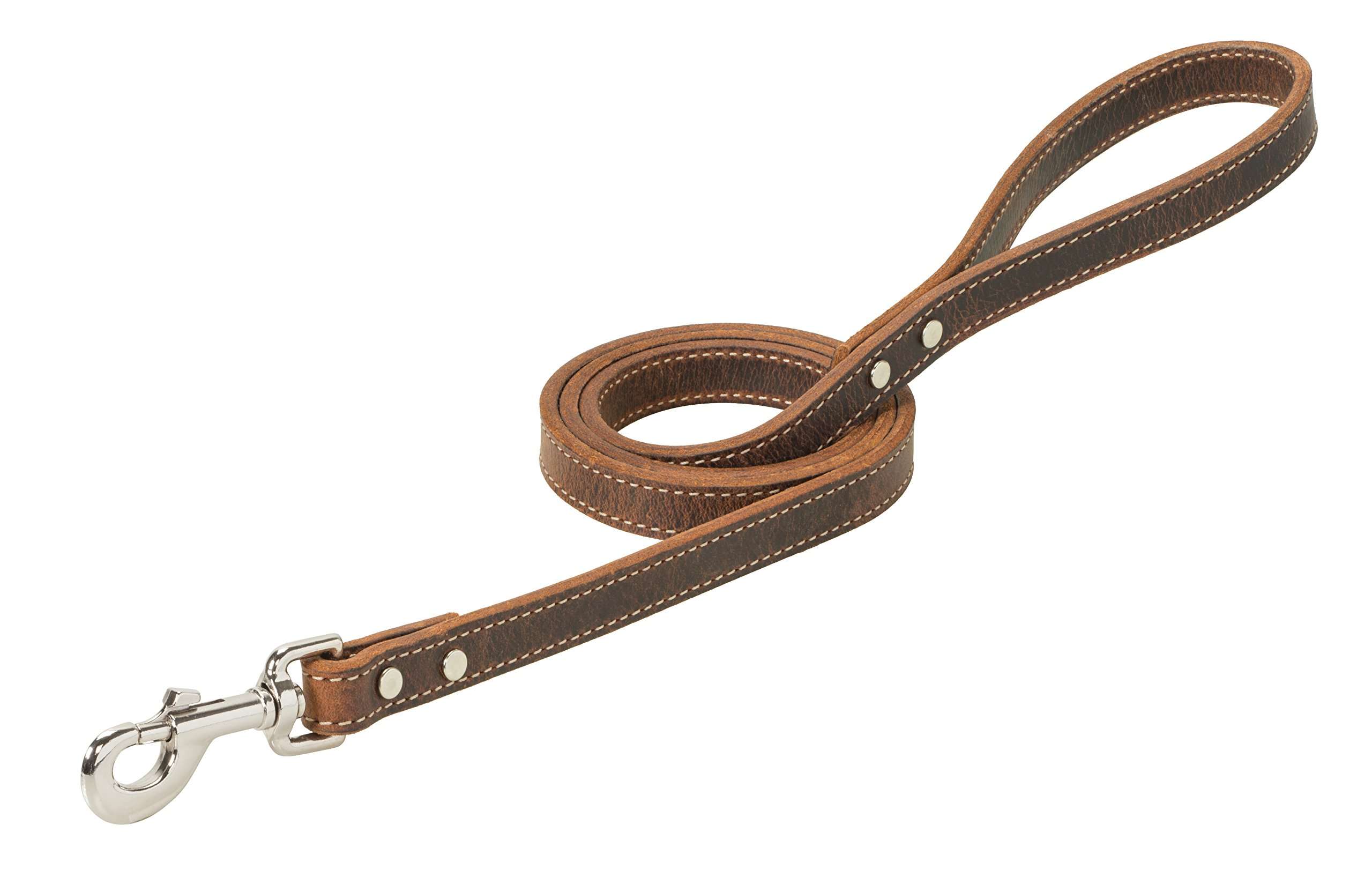 Weaver Pet Crazy Horse Dog Leash