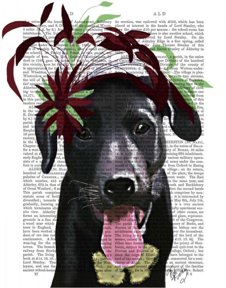 Black Labrador With Green Fascinator Poster Print - Funky Fab (24 x 36) 1