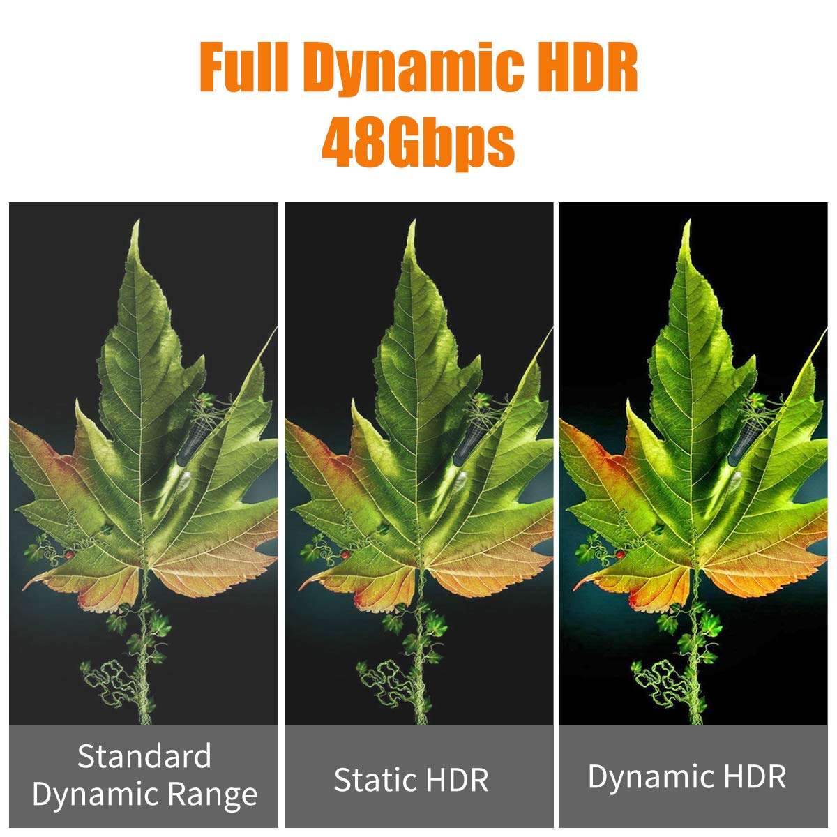 FURUI 8K Fiber HDMI Cable 33ft, Fiber Optic HDMI 2.1 Cable 8K@60Hz,4K@120Hz, 48Gbps, Dynamic HDR, eARC Compatible with RTX 3080/3090 Xbox Series X PS5 Denon AV Receiver LG Samsung Sony TV 3