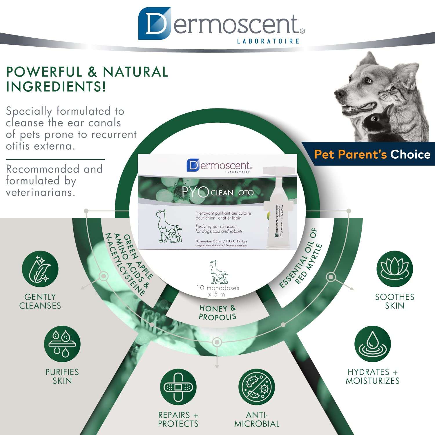 Dermoscent Pyoclean OTO Dog Ear Cleaner - Drops to Stop Head Shaking, Itchy & Waxy Ears - Non-Toxic - Ear Cleaning Solution for Dogs 5