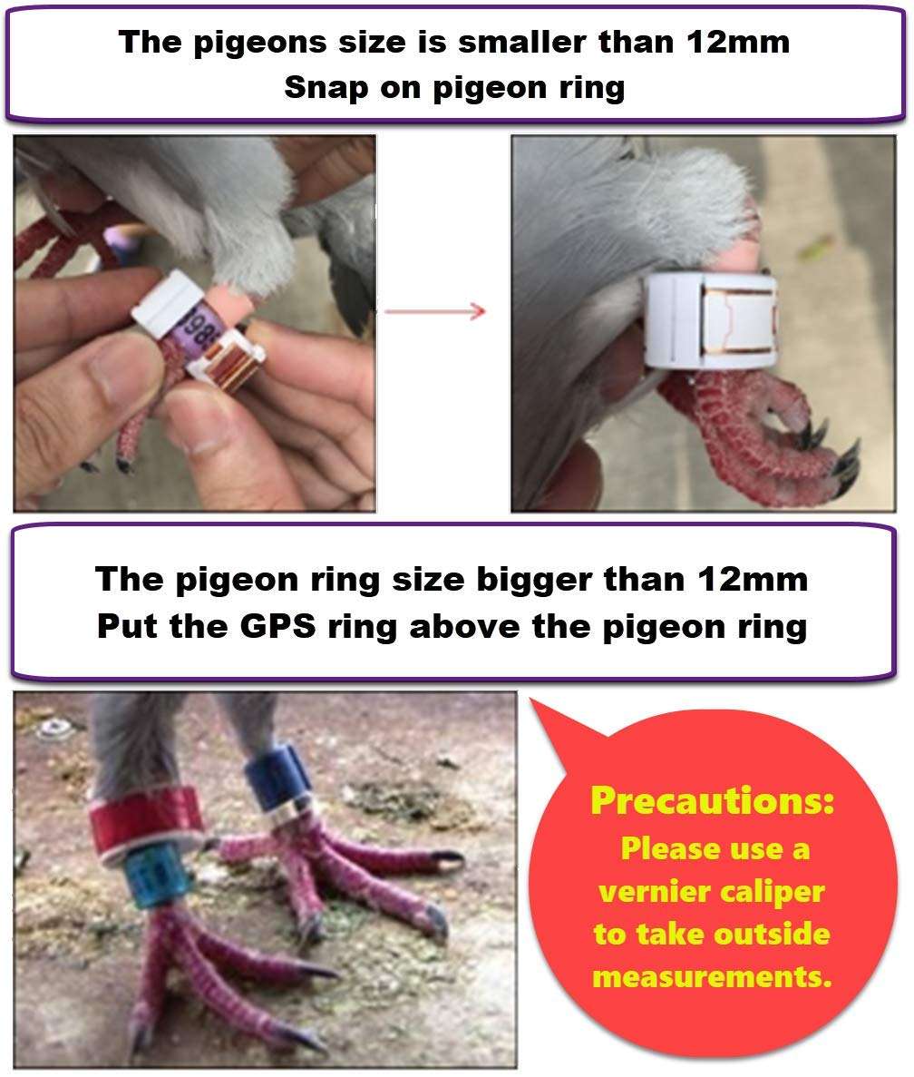 JIXIANGLE SKYLEADER Pigeon Racing 4U GPS Tracker- Great and Accurate Accessories with Gaode map embeded/Mutiple Languages, Pigeon Ring Size 12.2mm, 400g, 5 Ports Package 4