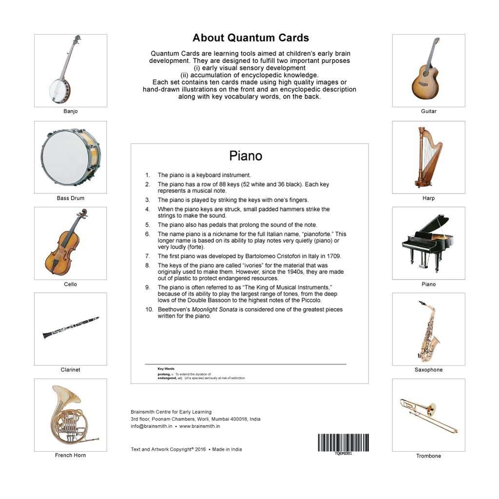 Brainsmith Quantum Cards – Musical Instruments Set 1 – Encyclopaedic Flashcards – Early Learning – Sensory Development - Birthday Gift (for Children from 8 Months and Above – Brain Development) 2