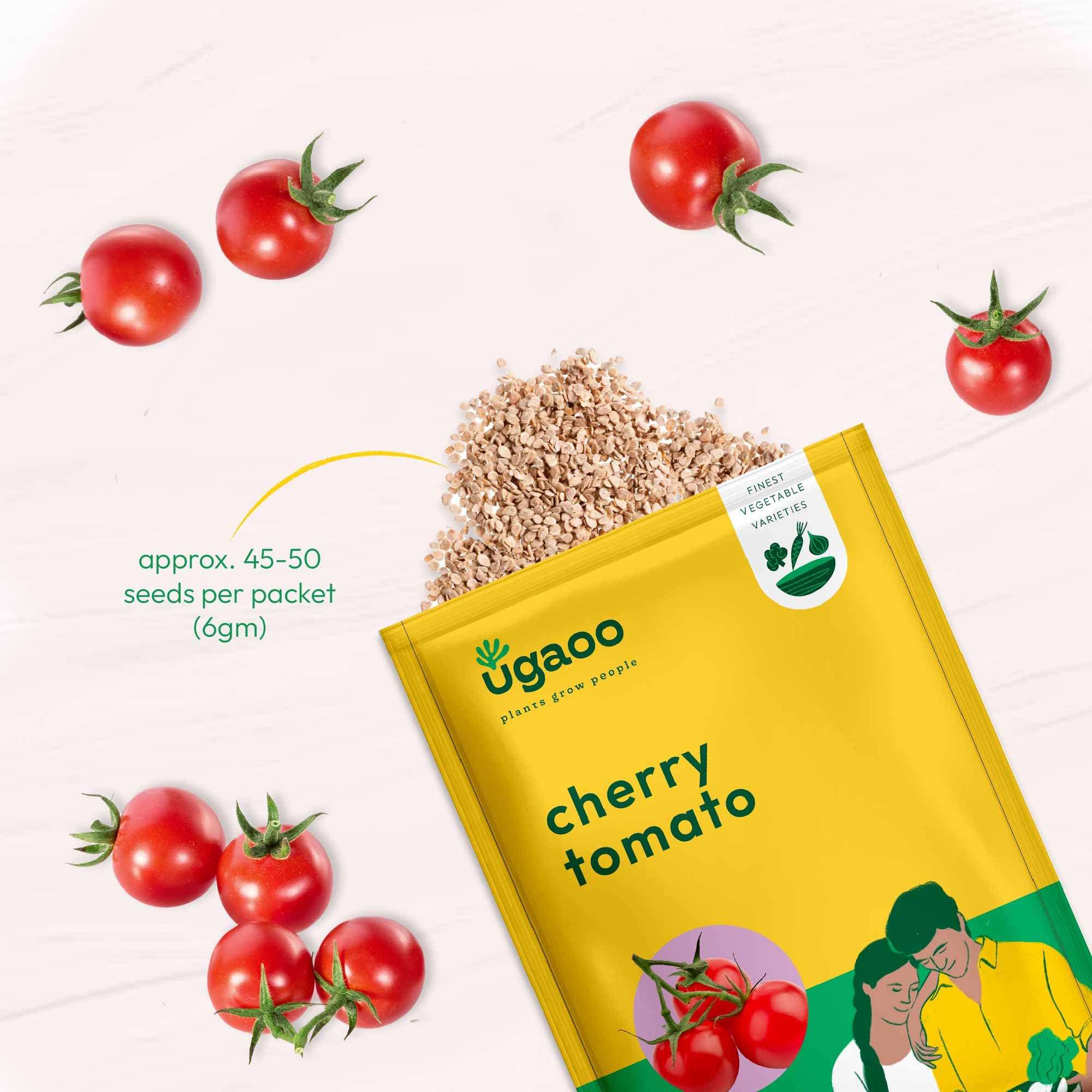 UGAOO Cherry Tomato Vegetable Seeds (Red, Pack of 200mg, 50 Seeds) 3