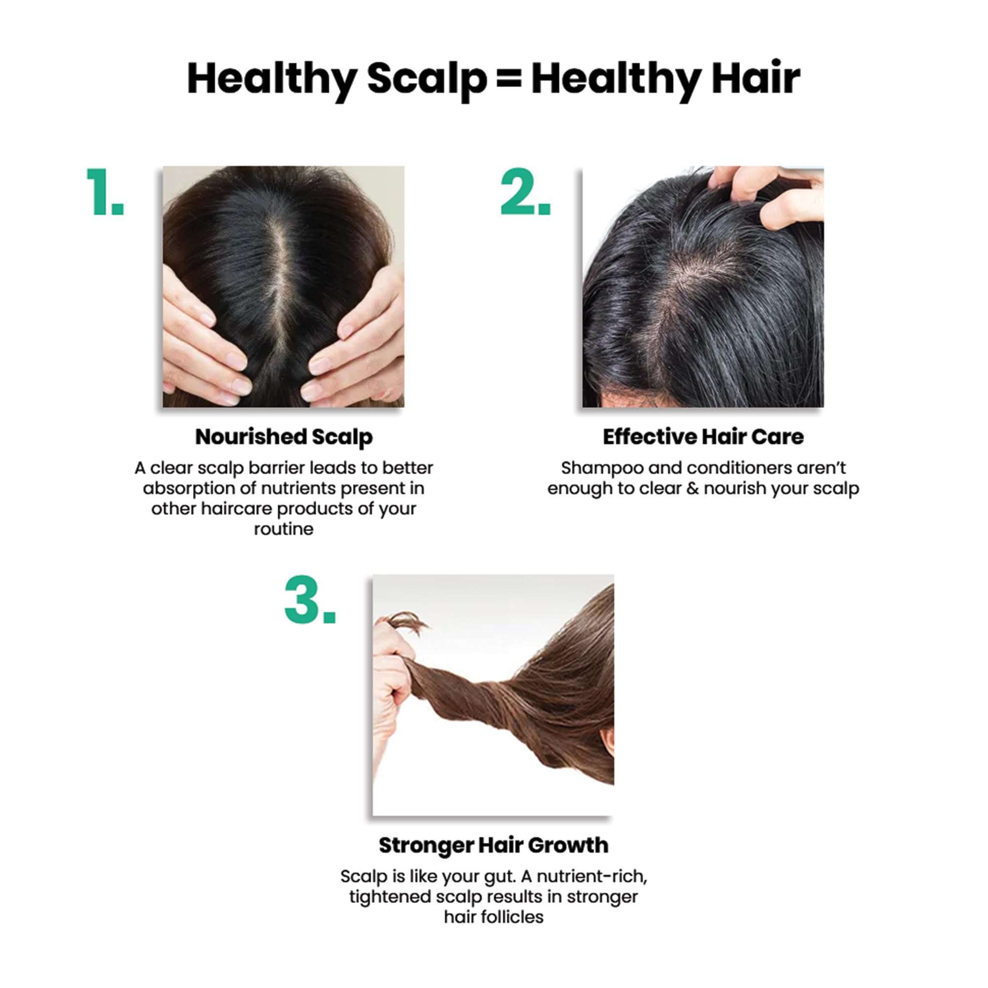 ThriveCo Scalp Vitalizing Serum | Tightens Scalp Skin, Combats Inflammation, Gives Hydration, Prevents Hair Breakage & Promotes Hair Growth & Strength | For Men & Women | Travel-Friendly (10 ml) 4