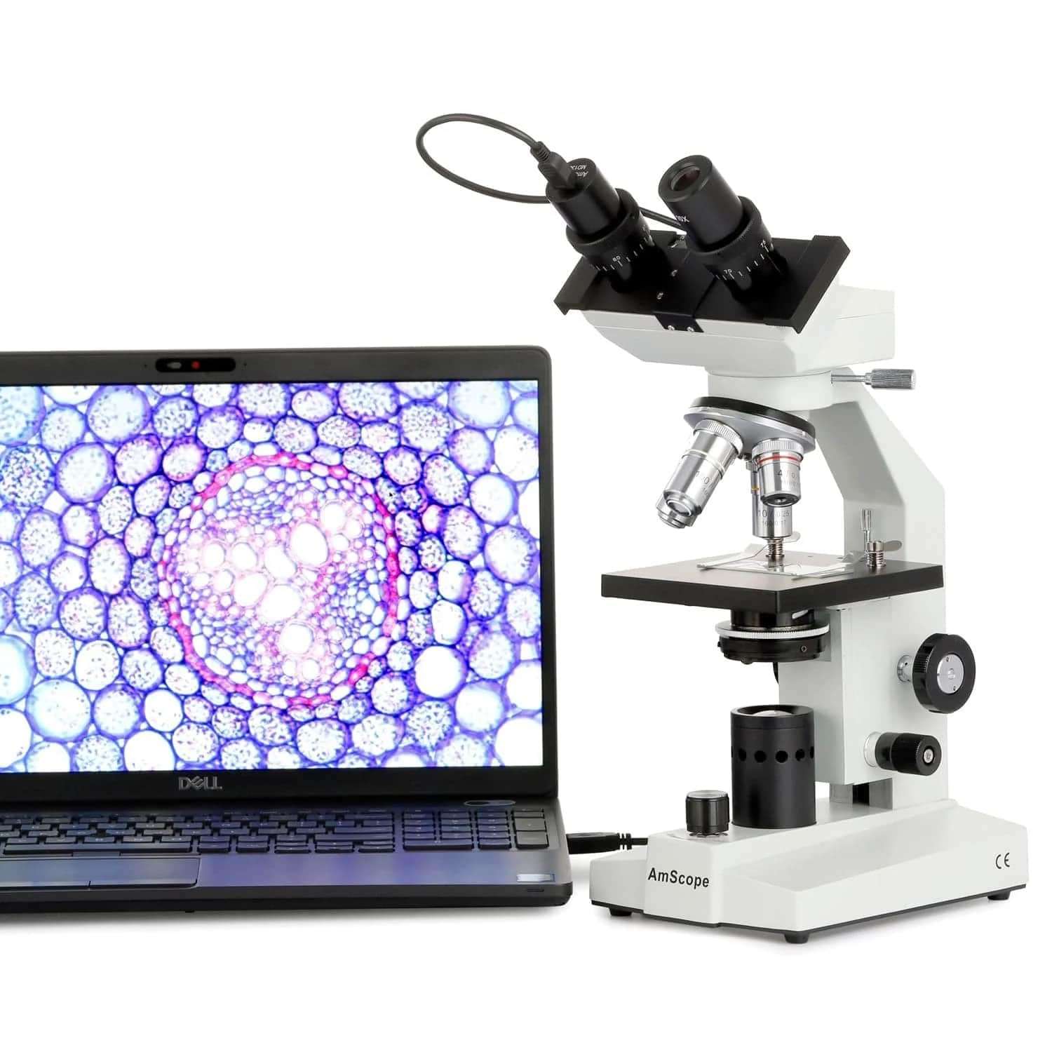 AmScope B100-E 1000X Digital Compound Binocular Microscope, 40X-1000X Magnification, Brightfield, Tungsten Illumination, Abbe Condenser, Plain Stage, Includes 0.3MP Camera and Software 6