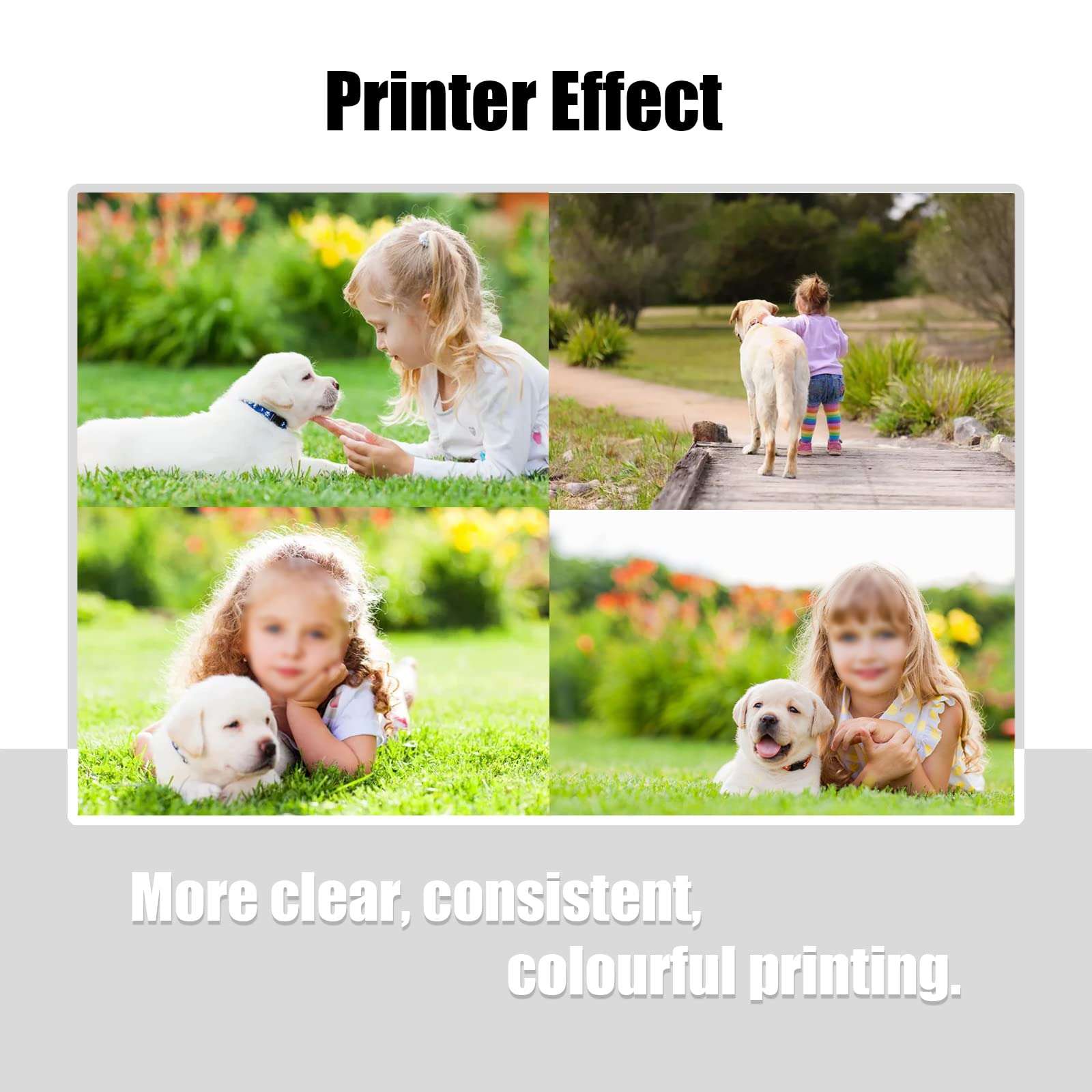 NoahArk 3 Packs 220XL Remanufactured Ink Cartridge Replacement for Epson 220 XL T220XL High Yield for Workforce WF-2760 WF-2750 WF-2630 WF-2650 WF-2660 XP-320 XP-420 Printer (Cyan/Magenta/Yellow) 6