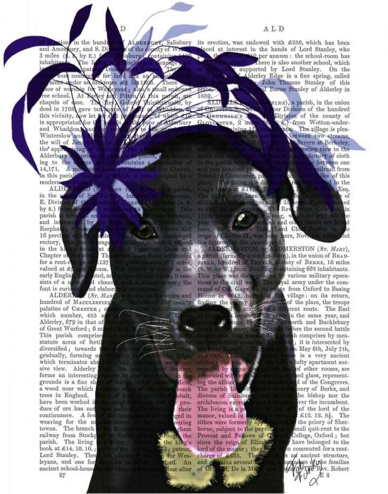 Black Labrador With Blue Fascinator Poster Print - Funky Fab (24 x 36) 1