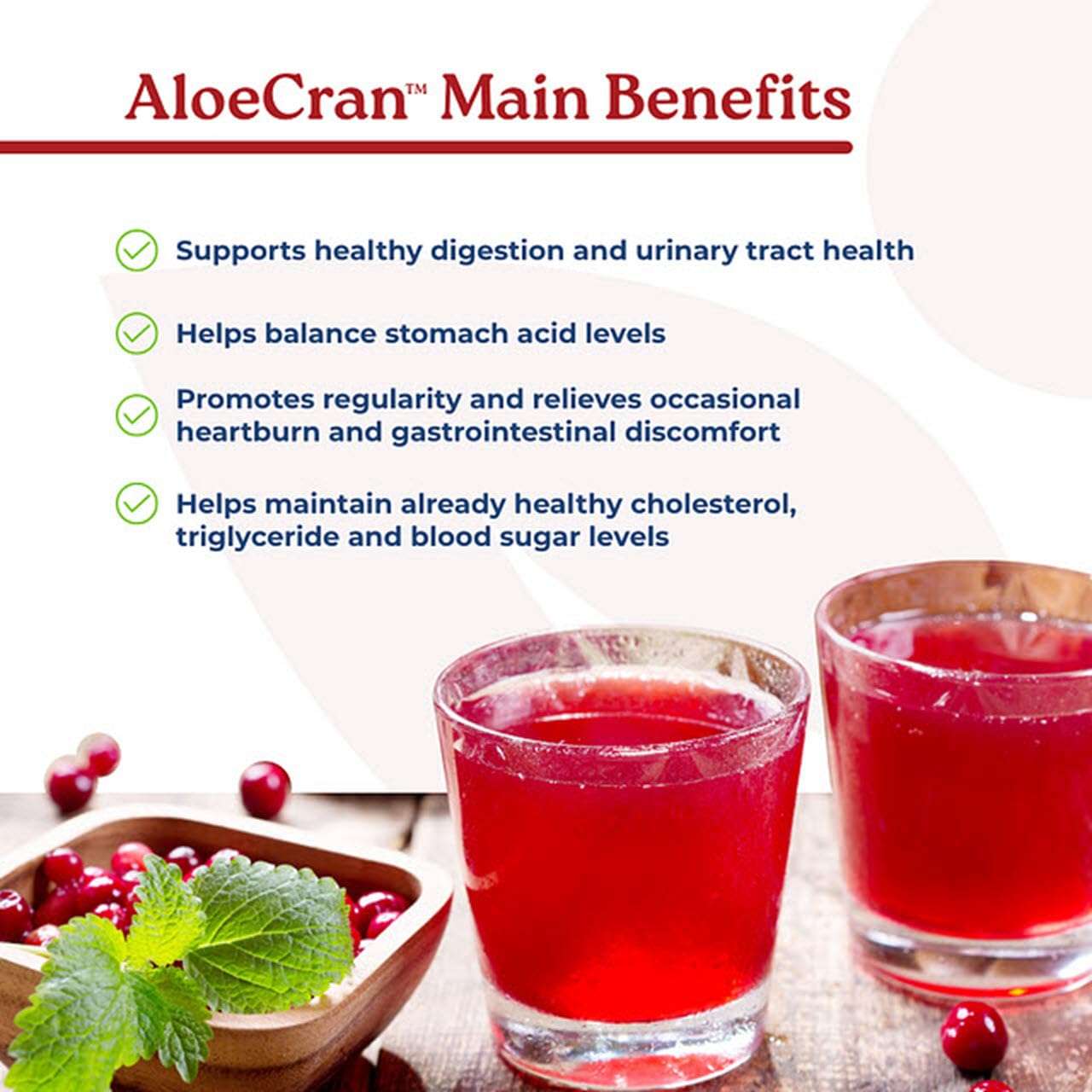 NatureCity Aloe-Cran Sugar Free Drink Mix Supplement| Aloe Vera and Whole Cranberry Powder with Dietary Fiber| Supports Digestion and Energy Levels|Great Sugar-Free Taste - 30 Servings 6