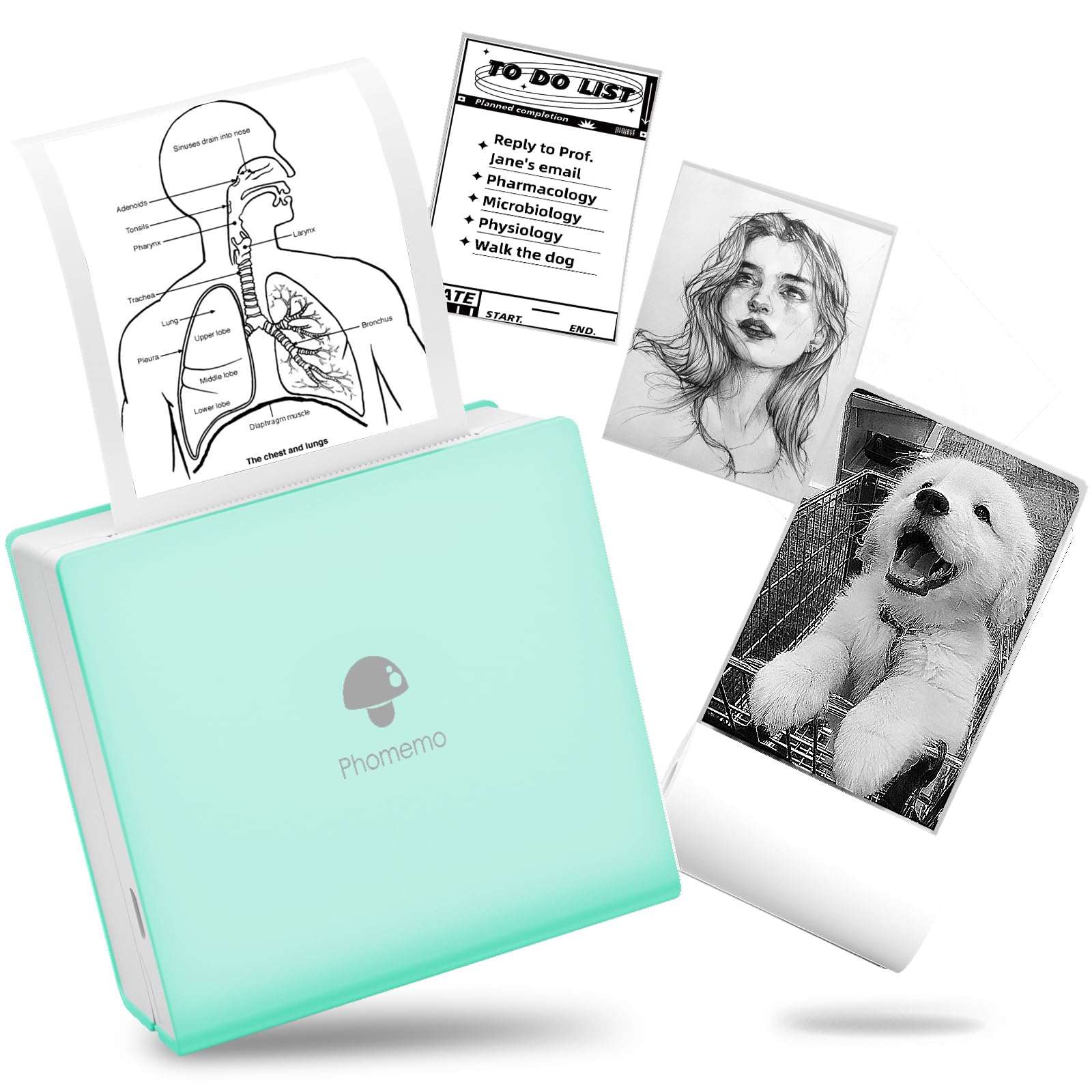 Phomemo M02 Pocket Printer - Mini Bluetooth Portable Mobile Inkless Thermal Printer Compatible with iOS + Android - for Pocket Study Notes, Photos, Work, Journal (Ice Cream Green) 1