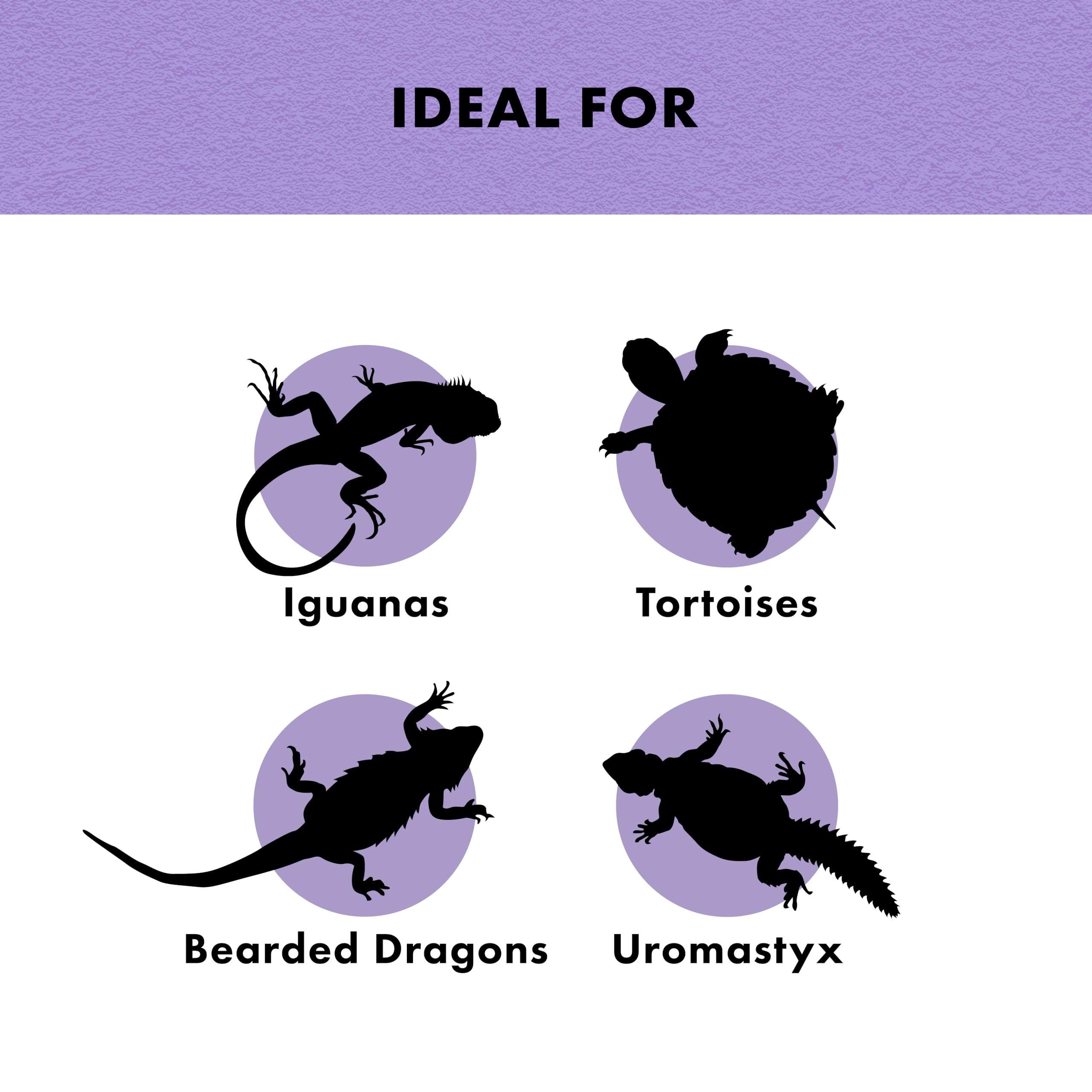 Zilla Reptile Munchies Vegetable and Fruit Mix 4 oz. 4