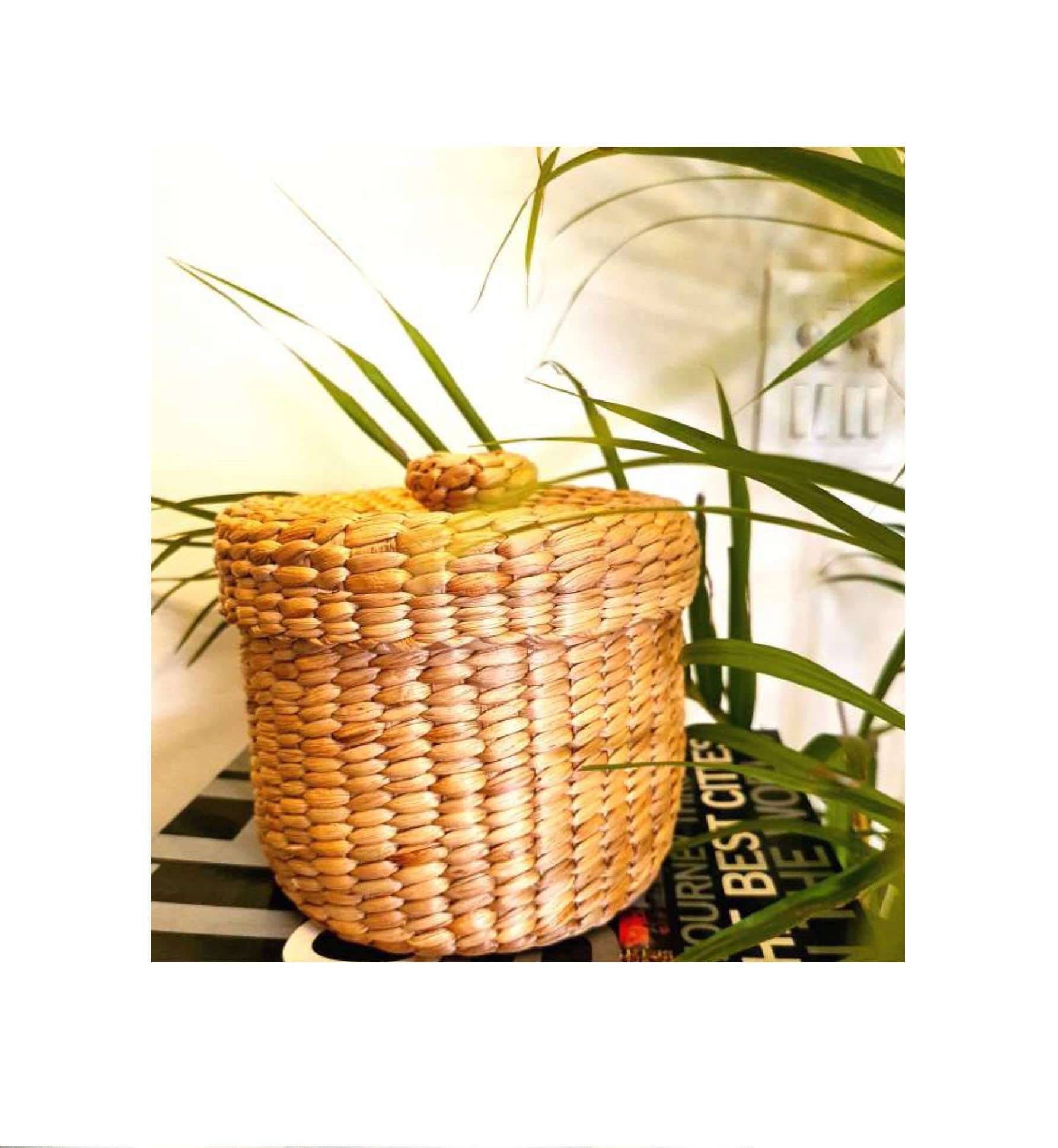 The Basket Weavers Multipurpose Myakons Storage Basket, Set of 2, (TBW_Mykonas_018_1, Beige) 3