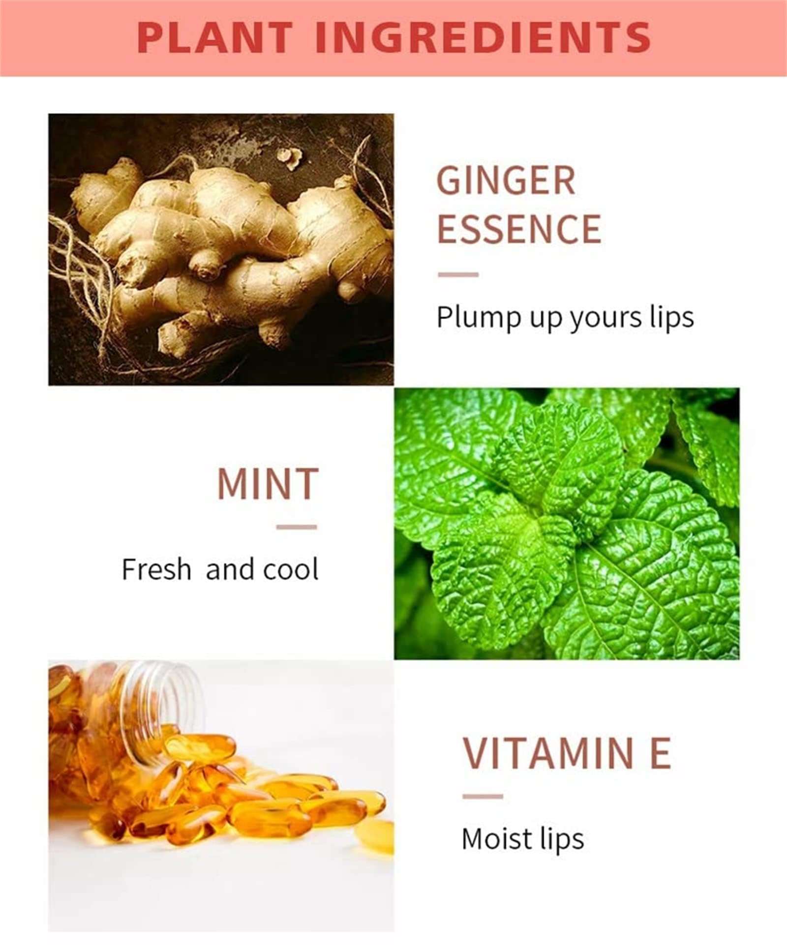 HESTAY Lip Plumper Kit, Lip Plumping Serum Instant Fuller Lips, Plumping Lip Oil Hydrating Lip Gloss, Extreme Lip Plumper, Make Lips Fuller and Moisturizing (3Pcs) 3