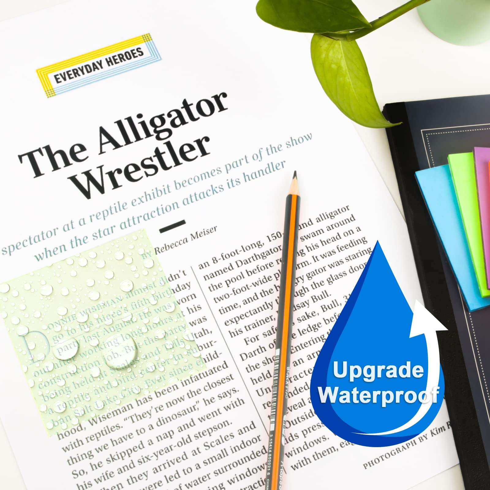 Self-Stick Note Pads (Rainbow) 6