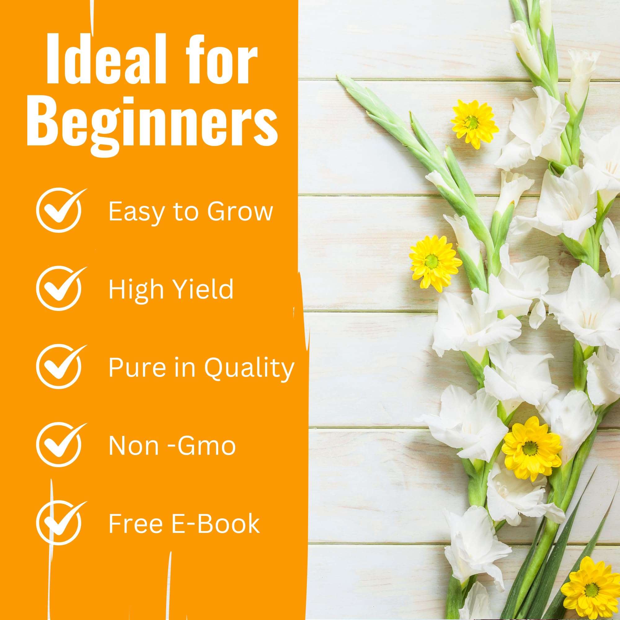 Navika Seeds Combo Pack of 10 Flower Seeds for Summer for Your Home Garden | Summer | Sutaible for Indian Season | All-Season Varieties | Free Growing Guide Included | 6