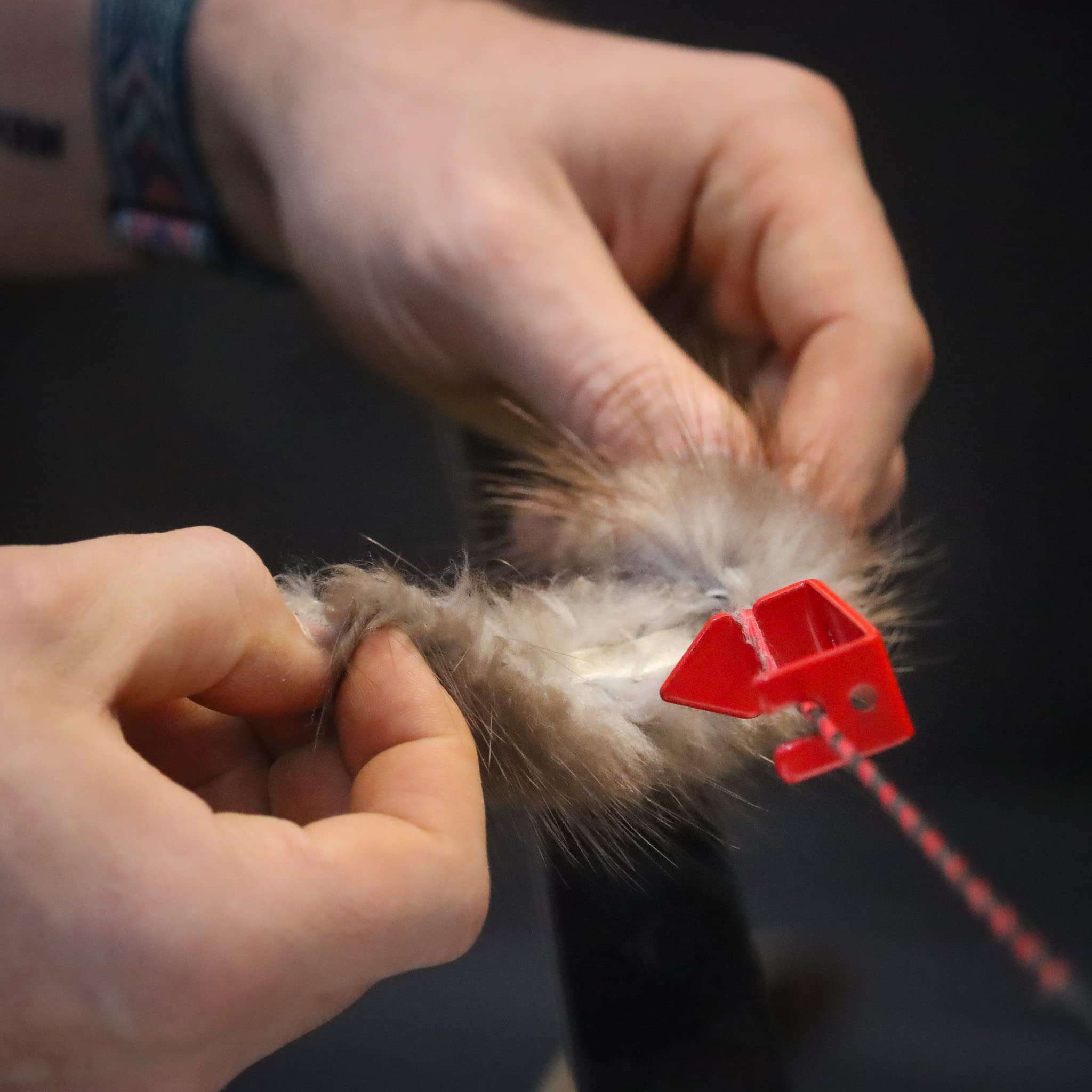 Shatterproof Archery Bow String Separator - for String silencers and peep Sights 5