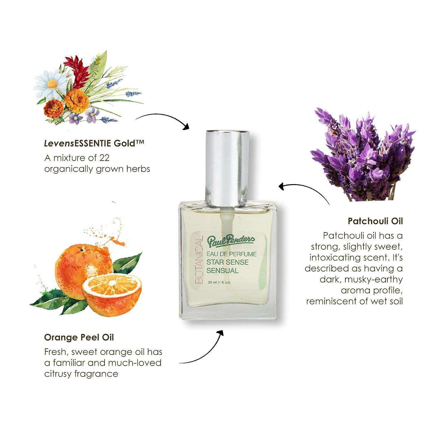 Paul Penders Eau De Perfume Star Sense (Sensual Smooth Exquisite) | Scented Symphony of Spicy & Warm Notes 30ml 4