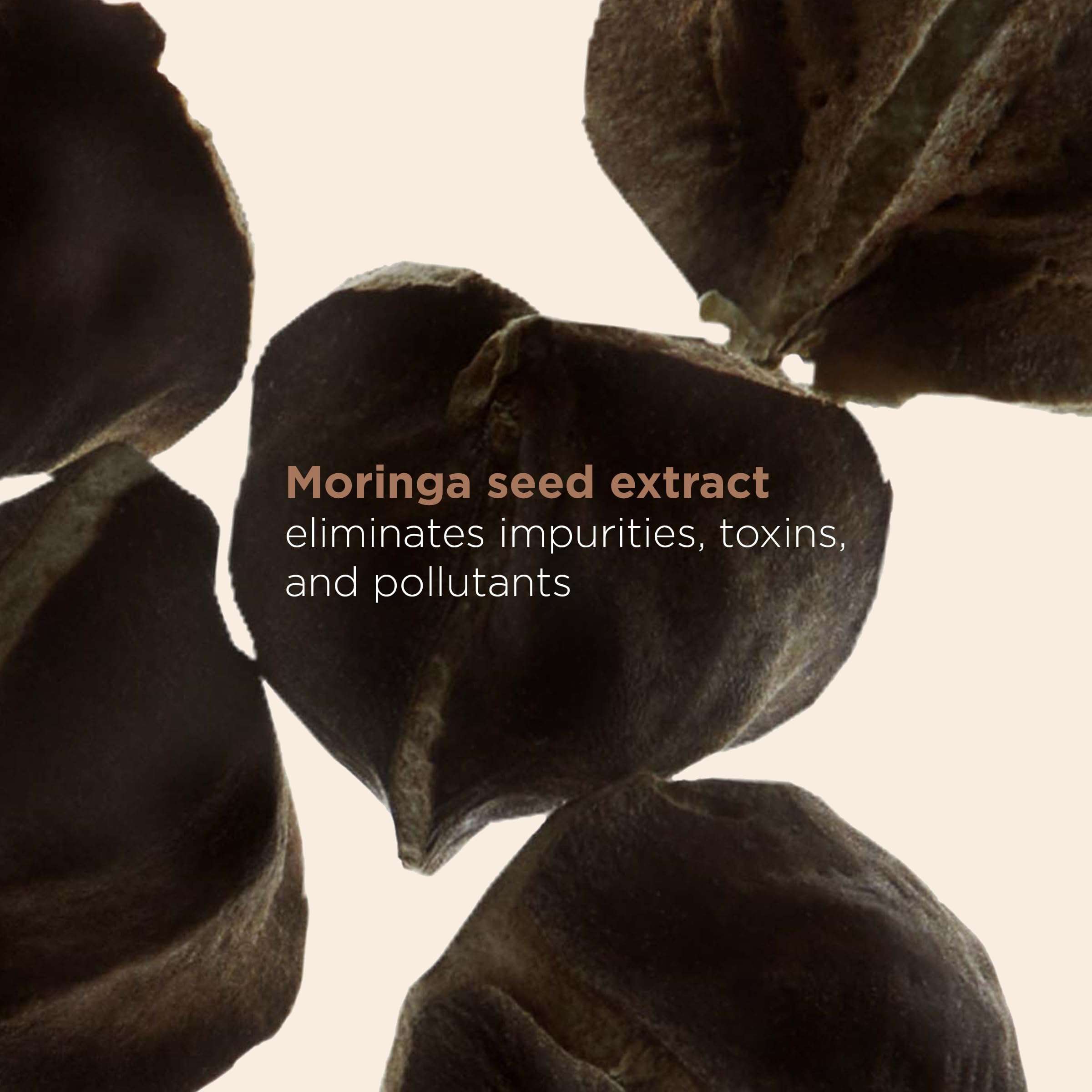 Clarins Moisture-Rich Body Lotion and Exfoliating Body Scrub for Smooth Skin Bundle | Body Cream Intensely Hydrates Very Dry Skin | Softening and Smoothing Body Scrub 6