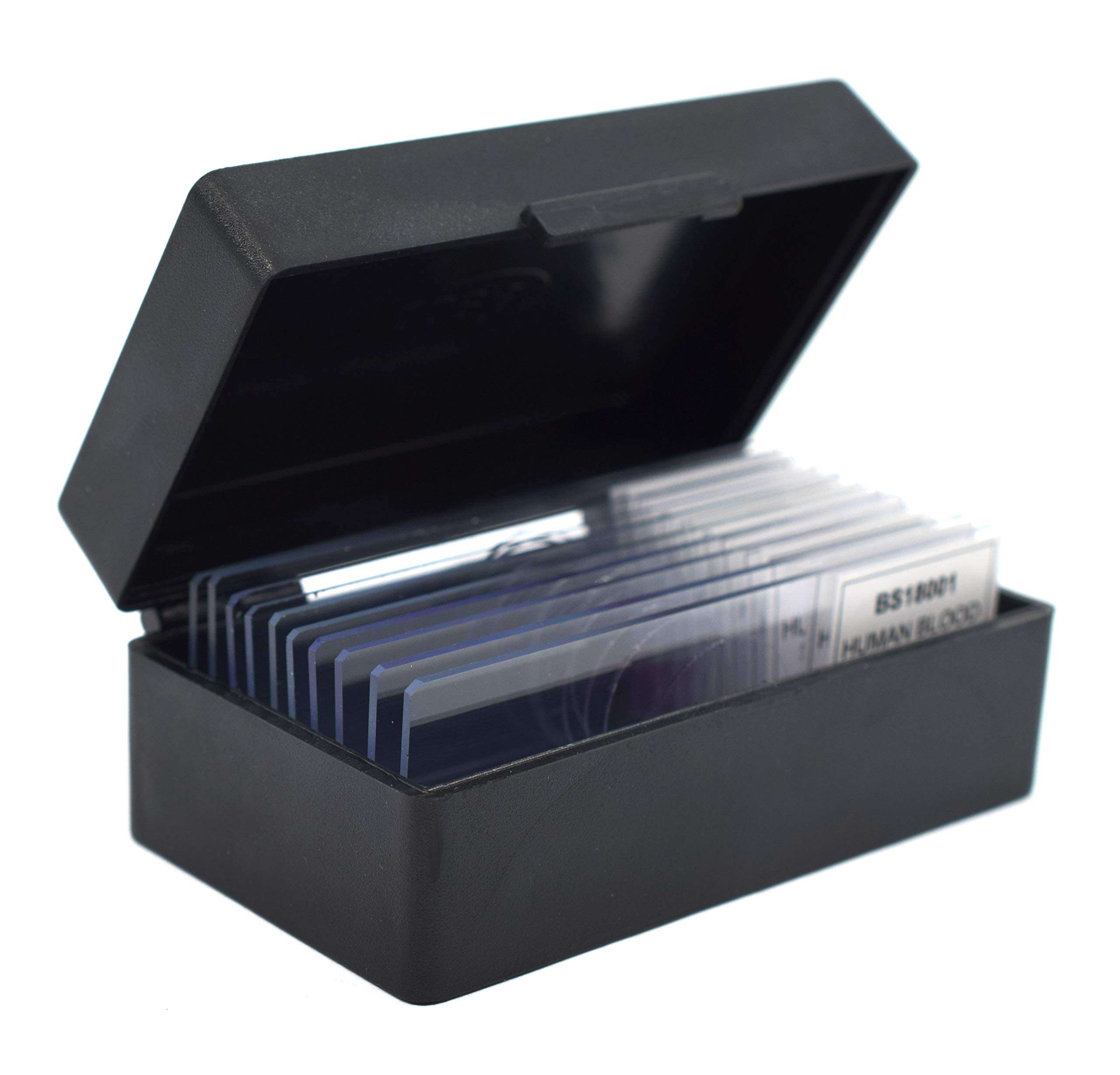 10pk Frog Blood Smear, Prepared Microscope Slides - 75 x 25mm - Classroom Pack, 10 Slides in Storage Case - Biology & Microscopy - Eisco Labs 5