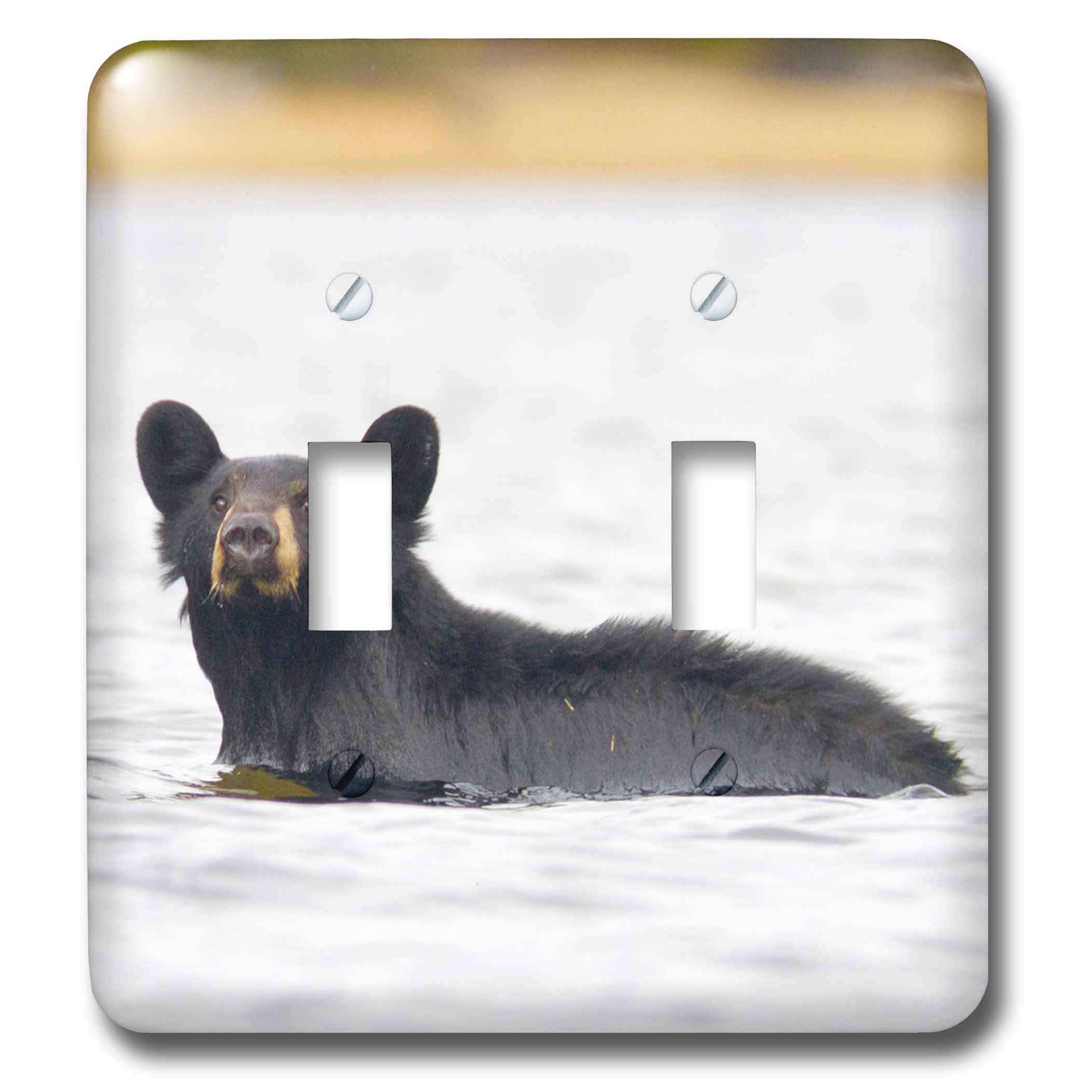 3dRose lsp_70175_2 " British Columbia, Bowron Lakes Park, Black bear-CN02 GLU0069-Gary Luhm Double Toggle Switch 1