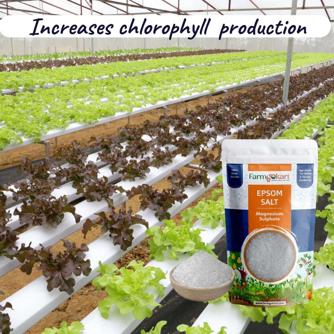 Farmgokart | Agri Grade | Epsom Salt Magnesium Sulphate | for Plant Growth and Plant Nutrient | 100% Water Soluble | (450 GMS) 5