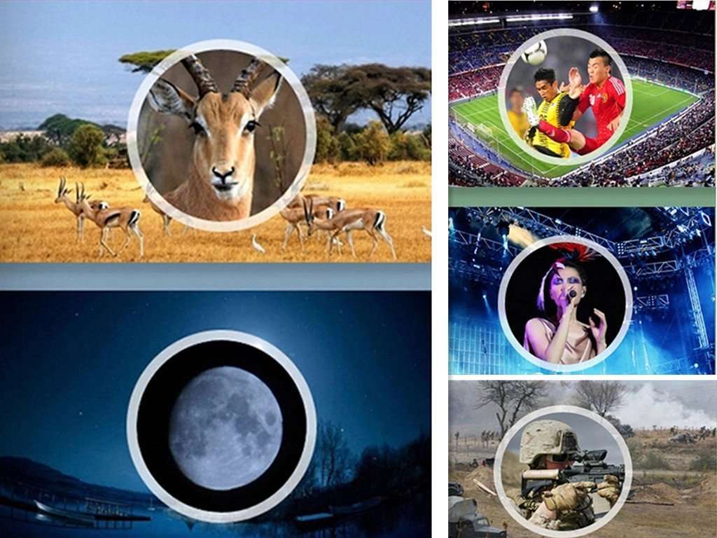 Orange Kids Binoculars 8 X 21 for Bird Watching, Watching Wildlife or Scenery, Game, Mini Compact and Image Stabilized, Best Gifts for Children 4