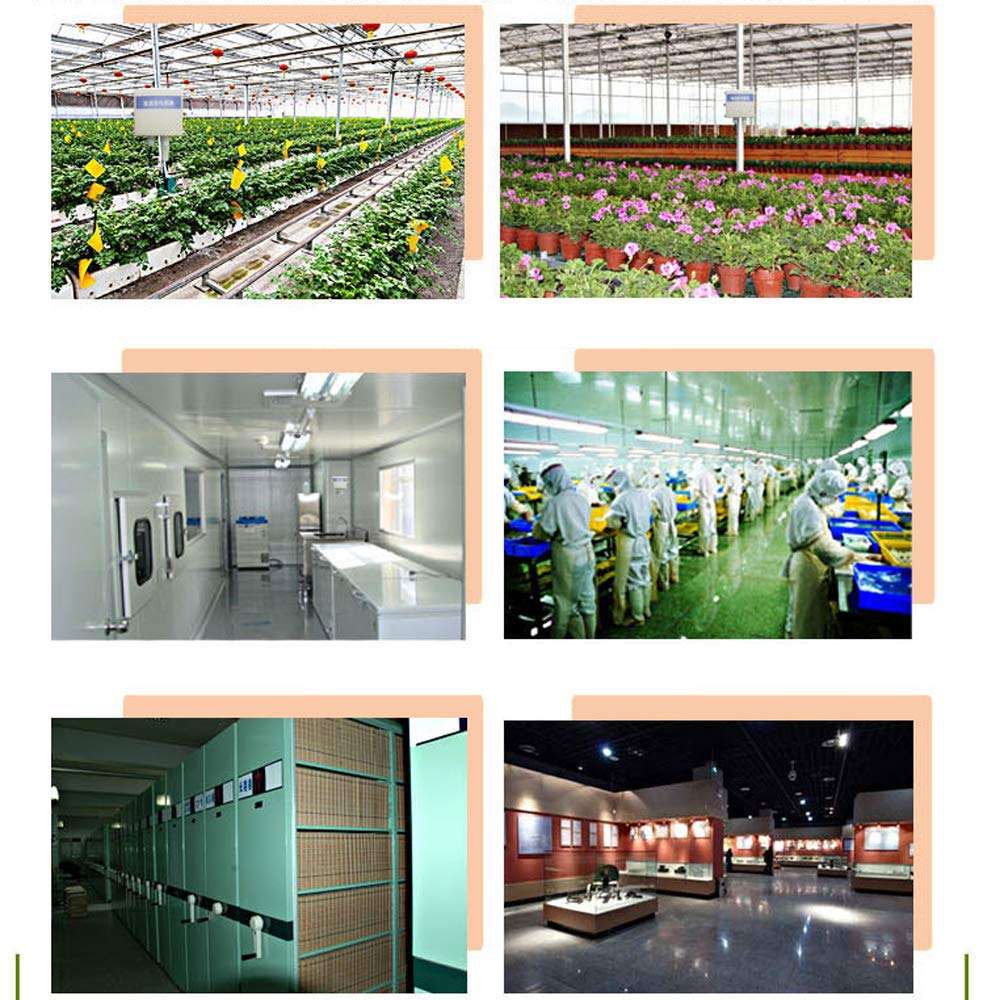 Lasamot Multifunctional High Accuracy Temperature And Humidity Sensor Transmitter Waterproof Hardcover Probe Strong Anti-interference 4