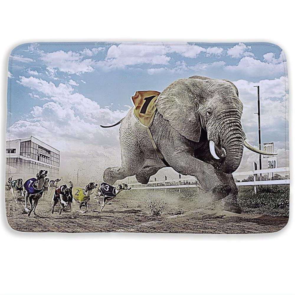 WorldCare® Type 19, 400Mmx600Mm : 40 * 60Cm Fashion Animal Bath Color Zebra Lion Door Floor For Living Room Bath Kitchen Carpets Bedroom Rub Mats 3