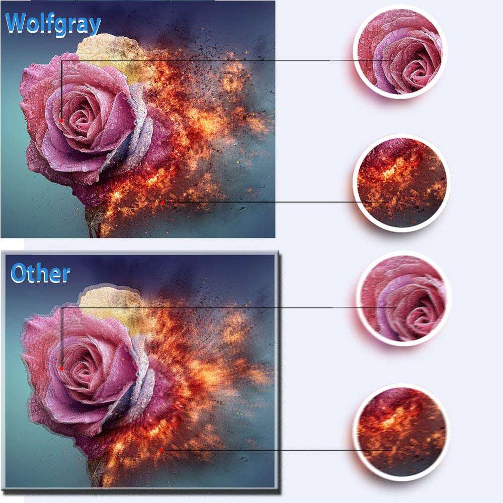 Wolfgray 1 Pack Compatible for QY6-0073 Printhead with Latest Chip Compatible for IP3600 MP560 MP620 MX860 MX870 MG5140 iP3680 MP540 MP568 MX868 MG5180 Printer 5