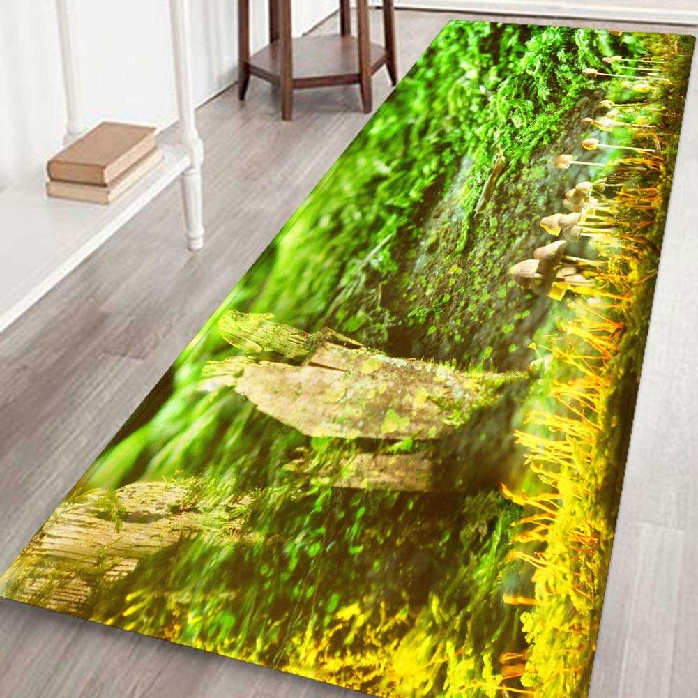 Indoor Door Mat, Super Absorbent Soft Non-Slip Non Slip Mat for Drying for Bathroom Bedroom, Kitchen(80 * 50cm) 4