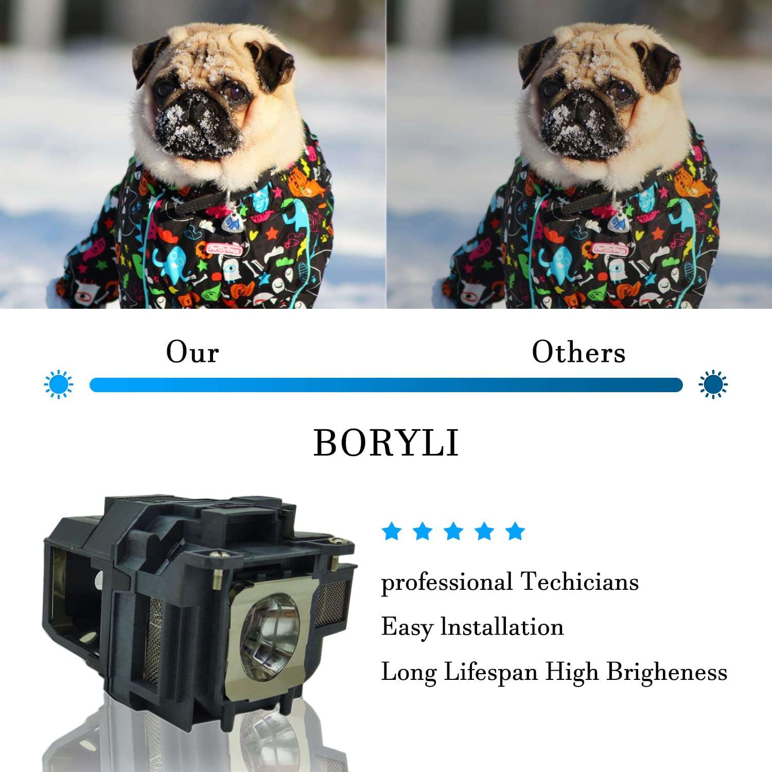 BORYLI ELP78 Projector Bulb with Housing for Projectors CB-X30 CB-X27 CB-X29 CB-X36 CB-X04 CB-W32 CB-U04 CB-S04 CB-W04 CB-U32 CB-X31 CB-S04E CB-X31E CB-S31 5