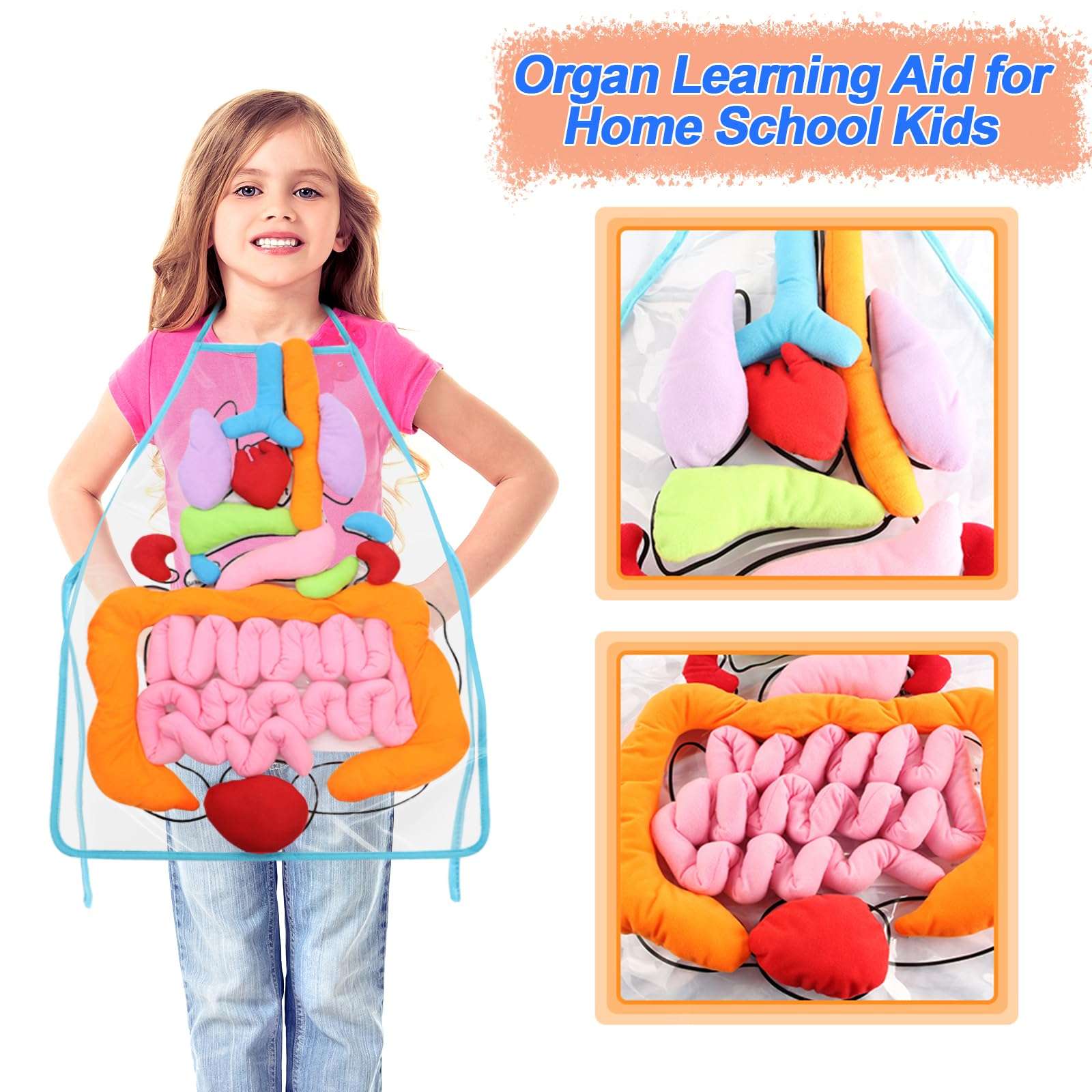 KAKIBLIN 3D Organ Apron,(Upgrade Version) Anatomy Apron Human Body Organs Awareness Educational Toy for Home Preschool Teaching Aid, Transparent 2