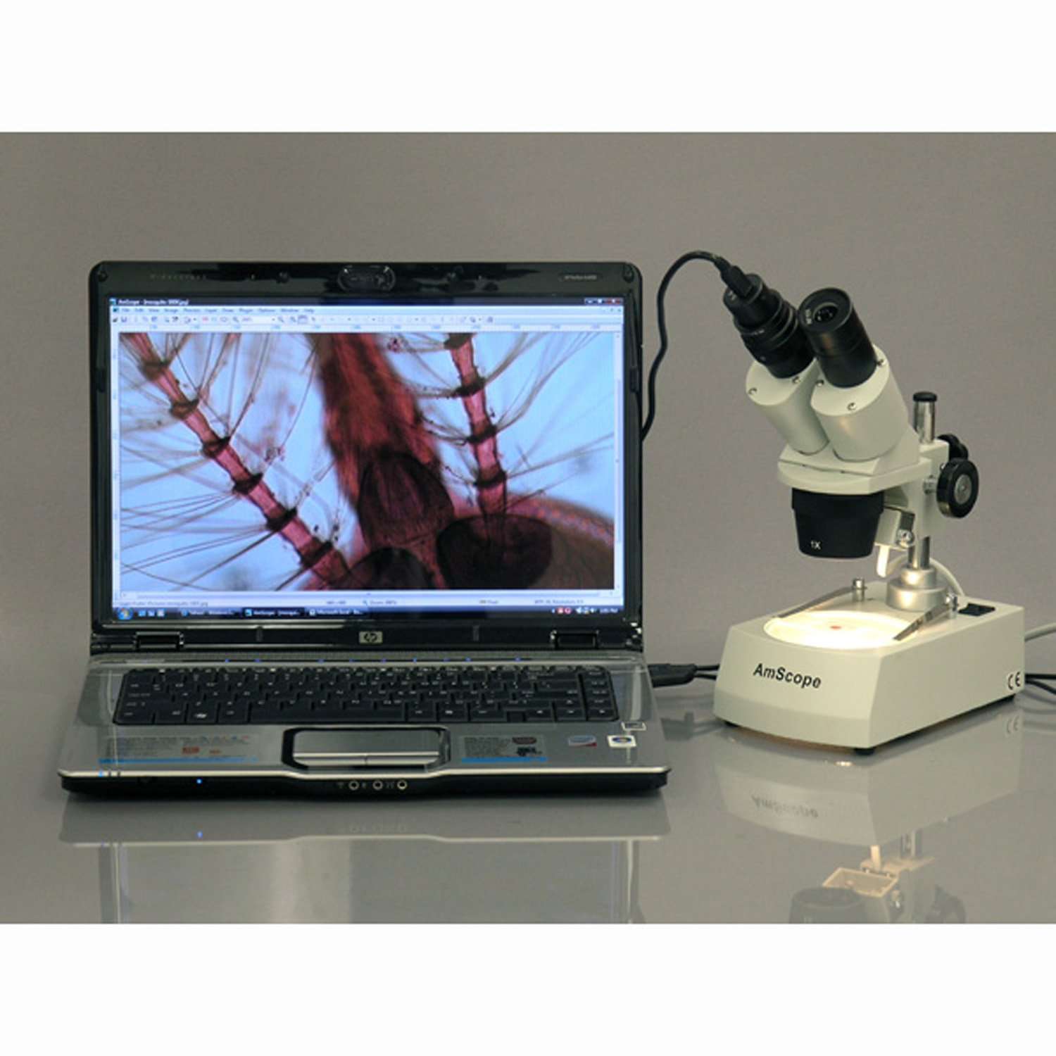 AmScope SE305R-PZ-E1 Digital Forward-Mounted Binocular Stereo Microscope, WF10x and WF20x Eyepieces, 10X/20X/30X/60X Magnification, 1X and 3X Objectives, Upper and Lower Halogen Lighting, Reversible Black/White Stage Plate, Pillar Stand, 120V, Includes 1.3MP Camera and Software 2