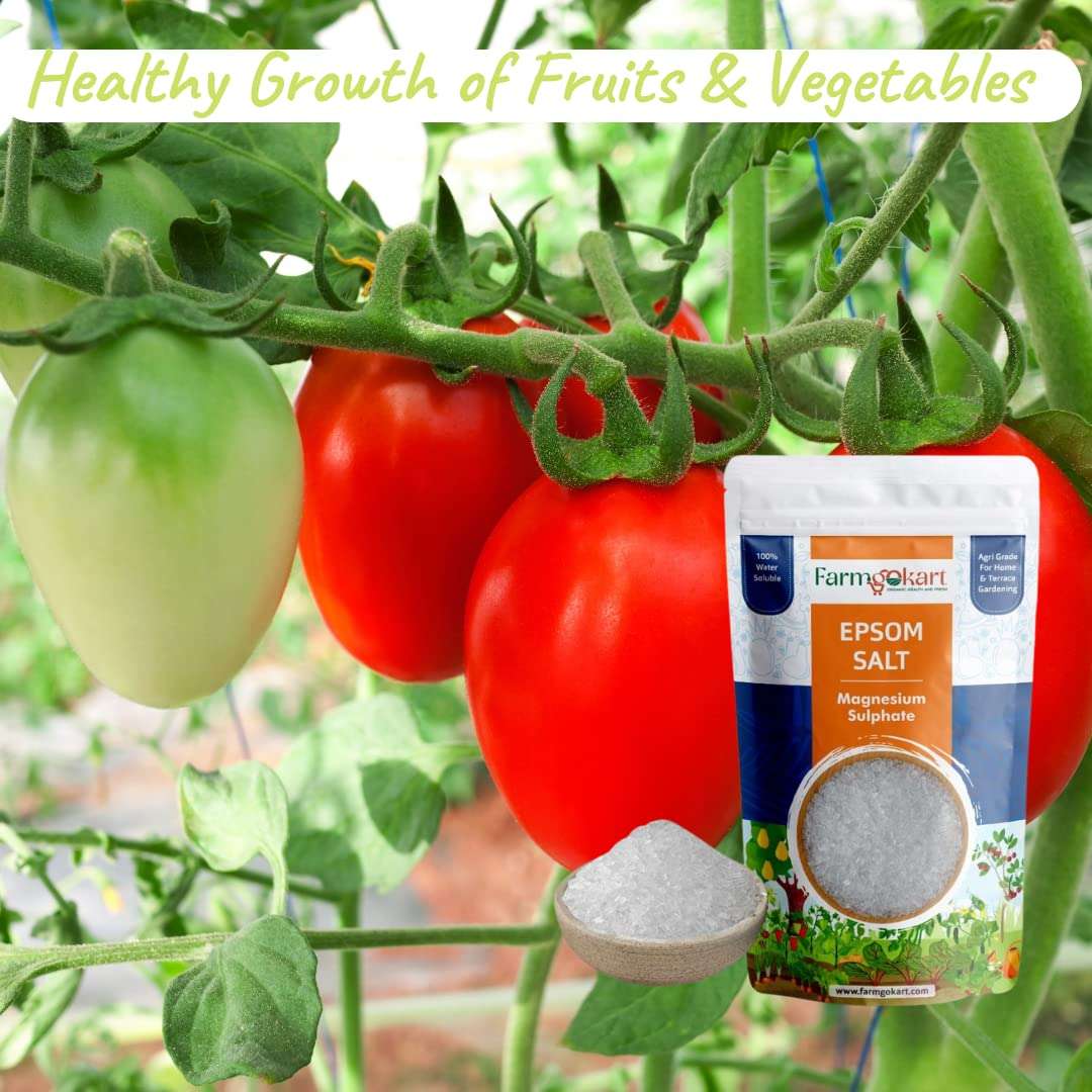 Farmgokart | Agri Grade | Epsom Salt Magnesium Sulphate | for Plant Growth and Plant Nutrient | 100% Water Soluble | (450 GMS) 6