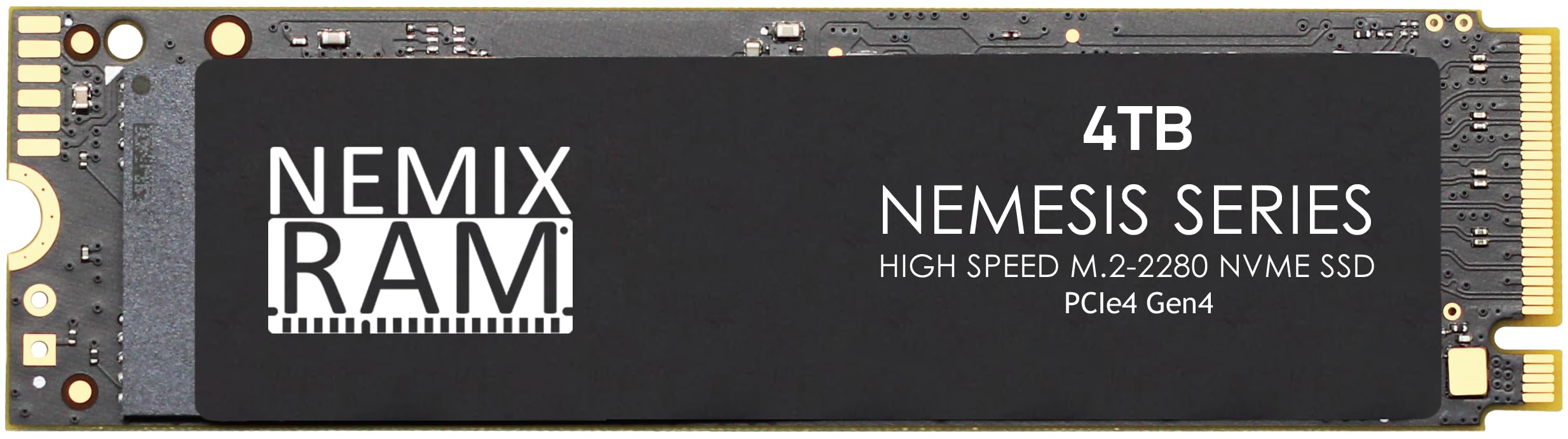 NEMIX RAM Nemesis Series 4TB M.2 2280 Gen4 PCIe NVMe SSD Write Speeds up to 7415mbps Compatible with Dell Precision 3660 Tower Workstation