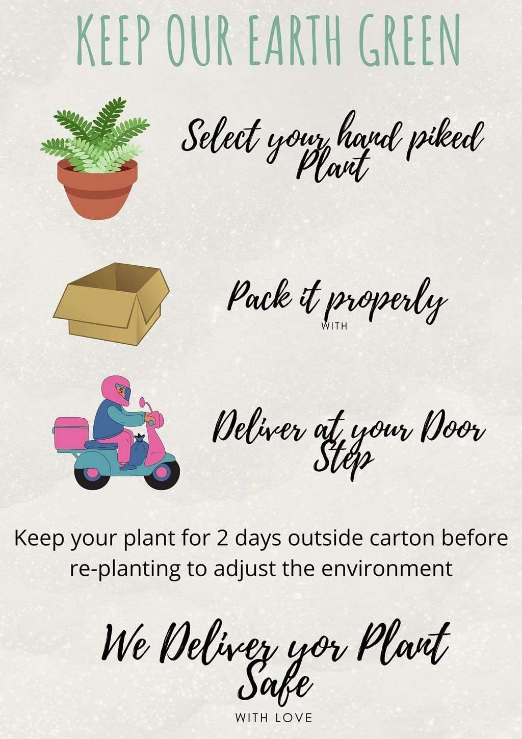 OhhSome Live Plant Clove Fruit Plants -Trees Healthy (Real for Garden And Home) Plant (1 Healthy Live Spice Plant) 2